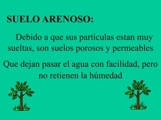 SUELO ARENOSO:
Debido a que sus partículas estan muy
sueltas, son suelos porosos y permeables
Que dejan pasar el agua con facilidad, pero
no retienen la húmedad
 