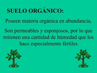 SUELO ORGÁNICO:
Poseen materia orgánica en abundancia,
Son permeables y esponjosos, por lo que
retienen una cantidad de húmedad que los
hace especialmente fértiles
 