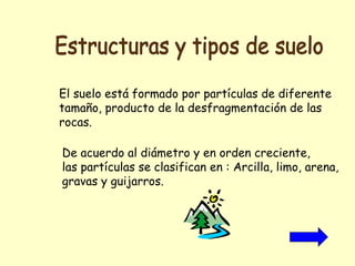 El suelo está formado por partículas de diferente
tamaño, producto de la desfragmentación de las
rocas.
De acuerdo al diámetro y en orden creciente,
las partículas se clasifican en : Arcilla, limo, arena,
gravas y guijarros.
 