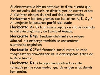 Si observaste la lámina anterior te diste cuenta que
las patículas del suelo se distribuyen en cuatro capas
A distintos niveles de profundidad denominadas
Horizontes y los designamos con las letras A, B, C y R.
Al conjunto lo llamamos perfil del suelo.
Horizonte A: Es la primera capa y en ella se acumula
la materia orgánica y se forma el Humus.
Horizonte B:Es fundamentalmente de origen
Mineral, sin embargo también se encuentran
sustancias orgánicas.
Horizonte C:Está formado por el resto de roca
fragmentaria proveniente de la disgregación física de
la Roca Madre.
Horizonte R:Es la capa mas profunda y esta
formada por la roca madre, que da origen a los demás
horizontes.
 