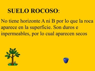 SUELO ROCOSO:
No tiene horizonte A ni B por lo que la roca
aparece en la superficie. Son duros e
inpermeables, por lo cual aparecen secos
 