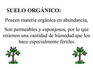 SUELO ORGÁNICO: Poseen materia orgánica en abundancia, Son permeables y esponjosos, por lo que retienen una cantidad de húmedad que los hace especialmente fértiles 