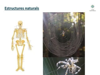 Estructures naturals
 