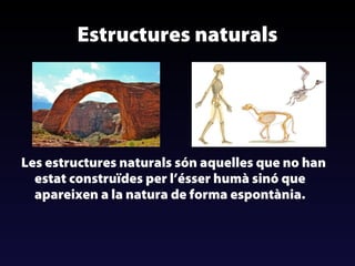 Estructures naturals

Les estructures naturals són aquelles que no han
estat construïdes per l’ésser humà sinó que
apareixen a la natura de forma espontània.

 