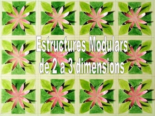 Estructures Modulars 2 a 3 dimensions