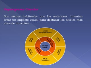 Organigrama Circular 
Son menos habituales que los anteriores. Intentan 
crear un impacto visual para destacar los niveles mas 
altos de dirección. 
JEFE DE 
APROVISIONAMIENTO 
DIRECTOR 
GENERAL 
JEFE DE 
PRODUCCIÓN 
 