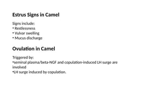 Copulation Sign Comprehensive Overview of Estrus Cycles in Domestic Animals: Hormonal ...