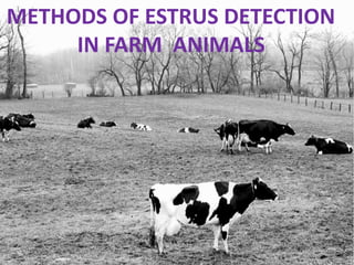 METHODS OF ESTRUS DETECTION
IN FARM ANIMALS
 