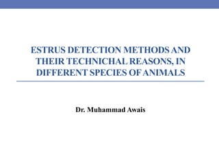 ESTRUS DETECTION METHODSAND
THEIR TECHNICHALREASONS, IN
DIFFERENT SPECIES OFANIMALS
Dr. Muhammad Awais
 