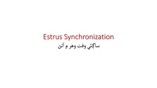 Estrus Synchronization
‫وقت‬‫ئي‬‫ساڳ‬
‫وهر‬
‫ڻڻ‬‫آ‬‫۾‬
 