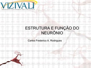 ESTRUTURA E FUNÇÃO DO
      NEURÔNIO
 Carlos Frederico A. Rodrigues
 
