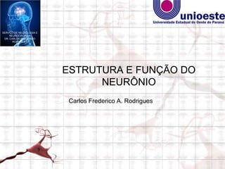 SERVIÇO DE NEUROLOGIA E
     NEUROCIRURGIA
 DR. CARLOS FREDERICO
       RODRIGUES




                          ESTRUTURA E FUNÇÃO DO
                                NEURÔNIO
                           Carlos Frederico A. Rodrigues
 