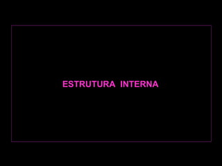 ESTRUTURA  INTERNA   