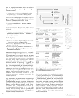 21
Um dos três grandes grupos de plantas, as chamadas
plantas verdes, reparte-se por duas grandes linhagens
(Leliaert et al. 2012):
• Plantas verdes (Viridiplantae6
; green plants) = cloró-
fitos (Chlorophyta) + estreptófitos (Streptophyta).
As Streptophyta, por sua vez, são constituídas por um
grupo de ‘algas verdes’, as Charophyta7
, mais as plantas
terrestres, seus descendentes diretos. Então:
• Estreptófitos (streptophytes) = ‘carófitos’ + plantas
terrestres.
As plantas terrestres abrangem três grandes grupos
(Figura 3):
• Plantas terrestres (Embryopsida8
, embriófitos; terres-
trial plants, embryophytes) = ‘briófitos’ + ‘pteridófitos’ +
plantas com semente.
Sendo (Figura 3):
• ‘Briófitos’9
(bryophytes) = hepáticas (hepatics, liverworts)
+ antóceros (hornworts) + musgos (mosses);
• ‘Pteridófitos’ (pteridophytes) = licófitos (lycophytes,
lycopods) + fetos (ferns);
• Plantas com semente (seed plants) = gimnospérmicas
(gymnosperms) + angiospérmicas (plantas com flor;
flowering plants, angiosperms).
Os ‘briófitos’ são um grupo parafilético (= grado, para-
phyleticgroup,grade)porquenãoincluemtodososdescen-
dentes de um ancestral comum. As hepáticas são basais
relativamente às restantes plantas terrestres. Como se
verá no volume II, as primeiras plantas a colonizarem a
terra firma, algures no final do Câmbrico (541-485 M.a.)
ou no início do Ordovícico (485-458 M.a.), eram prova-
velmente hepáticas ou pertenciam a um grupo que
as precedeu, hoje extinto (Edwards et al. 2014, Morris
et al. 2018). Os ‘pteridófitos’ são também parafiléticos;
incluem os licófitos e os fetos propriamente ditos.
Os ‘briófitos’, os licófitos e os fetos são ‘plantas de espo-
rulação livre’ (free sporing plants), i.e., disseminam-se por
esporos. Nas plantas com semente, os esporos ♀ estão
retidos no interior do primórdio seminal e em sua vez
dispersam-se sementes. As plantas com semente são
o objeto deste livro.
No Quadro 2, faço um enquadramento taxonómico dos
principais grupos de plantas terrestres (relações evolu-
tivas explicitadas na Figura 3). Embora tenha optado
por uma categorização formal dos grandes grupos de
plantas terrestres, antecipo desde já que as catego-
rias formais entre o domínio e a classe, inclusive, são,
na prática, dispensáveis (volume II). Por essa razão,
como se refere no «Prólogo», optei por aplicar de forma
quase indiscriminada o sufixo «fitos» na designação dos
grandes grupos de plantas terrestres.
QUADRO 2
Enquadramento taxonómico da classe Embryopsida (plantas terrestres).
Baseado em Adl et al. (2005), Chase & Reveal (2009), Christenhusz et al.
(2011) e Schuettpelz et al. (2016)
Categoria taxonómica Taxa Nome vulgar
Sem categoria formal Eukaryota Eucariotas
Sem categoria formal Archaeplastida Linhagem verde ou plantas
Sem categoria formal Viridiplantae Plantas verdes
Sem categoria formal Streptophyta Estreptófitos
Classe Embryopsida Plantas terrestres,
embriófitos
Subclasse Marchantiidae Hepáticas
Subclasse Bryidae Musgos
Subclasse Anthocerotidae Antóceros
Subclasse Lycopodiidae Licófitos, licopódios
Subclasse Equisetidae Equisetidas, equisetófitos,
equisetas, cavalinhas
Subclasse Ophioglossidae* Ophioglossidas,
ophioglossófitos,
psilotófitos**
Subclasse Marattiidae Marattiidas, marattiófitos
Subclasse Polypodiidae Polipodiidas, polipodiófitos,
fetos verdadeiros, fetos
leptoesporangiados
Subclasse Ginkgoidae Ginkgoídas, ginkgófitos,
ginkgos
Subclasse Cycadidae Cicadidas, cicadófitos, cicas
Subclasse Cupressidae*** Cupressidas, cupressófitos
Subclasse Pinidae Pinidas, pinófitos
Subclasse Gnetidae Gnetidas, gnetófitos
Subclasse Magnoliidae Angiospérmicas,
magnoliófitos, magnoliidas,
plantas com flor
* Psilotidae até há bem pouco tempo.
** Designação mais corrente na bibliografia.
*** Pinidae s.l. (Pinales + Araucariales + Cupressales) é provavelmente parafilética (Li et al.
2017; Ran et al. 2018). A solução passa por recuperar a subclasse Cupressidae (Arauca‑
riales + Cupressales) não admitida por Christenhusz et al. (2011).
Uma vez que este texto versa as plantas com semente,
e as ‘plantas de esporulação livre’ são ciclicamente recor-
dadas, impõe-se, desde já, uma importante questão:
o que é uma planta terrestre? As plantas terrestres
são um taxon monofilético (= clado; clade) de plantas
adaptadas a ambientes terrestres, secundariamente
aquáticas, cujos elementos partilham um conjunto
alargado de características herdado de um ancestral
comum. O Quadro 3 resume as principais caracterís-
ticas funcionais e estruturais deste importante grupo de
seres vivos, a serem desenvolvidas ao longo deste livro.
No Quadro 4, comparo vários grupos de plantas, neste
caso incluindo as algas.
Glaucophyta
'Algas
verdes'
Streptophyta
Plantas
verdes
(Viridiplantae)
Plantas
(Plantae)
Rhodophyta
(algas vermelhas)
Chlorophyta
Charophyta p.p.
(carófito p.p.)
Charophyta p.p.
(carófitos p.p.)
Embryopsida
(plantas terrestres)
FIGURA 2
Relações evolutivas
entre os grupos basais
de plantas
As aspas simples
assinalam os grupos
parafiléticos. N.b.:
as algas verdes
são um grupo
parafilético porque
não incluem todos
os descendentes de
um ancestral comum
(excluem as plantas
terrestres) estando,
por isso, grafados
entre aspas simples.
[Filogenia baseada em
Leliaert et al. (2012)
e Figueroa‑Martinez
et al. (2019).]
DISTRIBUIÇÃO GRATUITA. NÃO É PERMITIDA A COMERCIALIZAÇÃO.
©
 