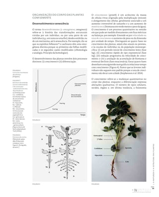 24
I.
A
NATUREZA
E
A
ESTRUTURA
DAS
PLANTAS
ORGANIZAÇÃO DO CORPO DAS PLANTAS
COM SEMENTE
Desenvolvimento e senescência
O termo desenvolvimento (= ontogénese; ontogenesis)
refere-se à história das transformações estruturais
vividas por um indivíduo, ou por uma parte de um
indivíduo(e.g.,umramoouumaflor),desdeoembrião,ou
de um meristema, até à senescência. Por exemplo, diz-se
que os espinhos folheares10
e caulinares têm uma onto-
génese distinta porque os primeiros são folhas modifi-
cadas e os segundos caules modificados («Homologia
e analogia. Princípio da homologia»).
O desenvolvimento das plantas envolve dois processos
distintos: (i) crescimento e (ii) diferenciação.
O crescimento (growth) é um acréscimo da massa
de células vivas originado pela multiplicação (mitose)
e alongamento das células, geralmente associado a um
aumento irreversível de tamanho e a um aumento de
matériaseca(biomassaemverdemenosopesodaágua).
O crescimento é um processo quantitativo no sentido
em que pode ser medido diretamente com fitas métricas
ou balanças, por exemplo. Entende-se por velocidade ou
taxa de crescimento o aumento de peso ou da dimensão
por unidade de tempo. Distinguem-se quatro fases no
crescimento das plantas, sejam elas anuais ou perenes,
e às escalas do indivíduo ou da população monoespe-
cífica: (i) um período inicial de crescimento lento (fase
lag); (ii) crescimento rápido de tipo exponencial (fase
log); (iii) redução progressiva da velocidade de cresci-
mento; e (iv) a anulação da acumulação de biomassa e
eventual declínio (fase estacionária). Estas quatro fases
desenhamumasigmoidenumgráficoarelacionartempo
com crescimento (Figura 4). Parece que as árvores indi-
viduais não seguem este padrão porque a taxa de cresci-
mento não decai com a idade (Stephenson et al. 2014).
O crescimento refere-se a mudanças quantitativas no
corpo das plantas, enquanto a diferenciação expressa
alterações qualitativas. O número de tipos celulares,
tecidos, órgãos e, em última instância, a fisionomia
FIGURA 4
Curva de crescimento
das plantas.
[Original.]
FIGURA 5
Estrutura do embrião
(cormo embrionário)
e do cormo pós-
-embrionário de uma
‘dicotiledónea’.
A) Embrião jovem:
Co – cotilédone.
B) Embrião maduro
de uma semente
cotiledonar:
Hi – hipocótilo;
Ra – radícula.
C) Plântula:
Rd – raiz primária.
D) Estrutura do
cormo de uma
angiospérmica:
Ga – gema apical;
Rl – raízes laterais;
Rd – raízes
adventícias; Gx
– gemas axilares.
[Figura clássica de
Sachs adaptada por
Troll (1954).]
FIGURA 6
Estrutura do cormo.
Plântula de Lupinus
albus (Fabaceae);
comparar com a
Figura 5. [Fotografia
do autor.]
FIGURA 6
Gema apical
1ª folha
Cotilédone Epicótilo
Colo
Hipocótilo
A
B
C
D
Co Co
Co Co
Co Co
Ga
Ga
Gx
Gx
Ra
Rd
Ra
Ra
RI RI
Ra
Co Co
Hi
Hi
Hi
Rp
Rp
Tempo
Fase lag
Fase log
Fase estacionária
/declínio
Matéria
seca
Desaceleração
do crescimento
FIGURA 4
FIGURA 5
DISTRIBUIÇÃO GRATUITA. NÃO É PERMITIDA A COMERCIALIZAÇÃO.
©
 