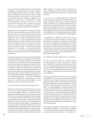 27
vivos, consomem e dissipam energia. Uma interrupção
prolongada no abastecimento de energia traduz-se
numa desorganização das células e na morte dos indi-
víduos. Os animais são heterotróficos: obtêm a energia
de que necessitam e constroem o seu corpo a partir
de compostos orgânicos complexos adquiridos por
ingestão. As plantas têm um metabolismo energé-
tico muito distinto – são seres fotoautotróficos13
. Pela
intervenção da molécula verde, a clorofila, no processo
da fotossíntese, sequestra a energia solar sob a forma
de energia química (ATP) e poder redutor (NADPH2).
As plantas têm um anabolismo completo: produzem
100% dos seus aminoácidos, proteínas, lípidos, ácidos
nucleicos, vitaminas e outras biomoléculas a partir da
energia química e do poder redutor produzidos pela
fotossíntese, mais a água e 20 substâncias minerais
simples (e.g., CO2, K+, e NO3-) absorvidas pelas raízes
(Wise & Hoober cit. Crang et al. 2018). Os animais, pelo
contrário, dependem de um vasto número de subs-
tâncias extraídas do corpo dos vegetais ou animais
que lhe servem de alimento, ou dos resíduos por eles
produzidos. Por exemplo, os humanos produzem
apenas 11 dos 20 aminoácidos proteinogénicos (que
fazem parte das proteínas), todos eles disponibilizados
pelas plantas.
Embora seja a fonte primária de toda a matéria orgânica
e energia que percorre os ecossistemas, a fotossíntese
é um processo de conversão energética pouco eficiente.
O máximo teórico da eficiência de conversão da energia
solar incidente total em energia armazenada sob a forma
de biomassa é de 4,6% nas plantas C3 e 6% nas plantas
C414
(Zhu et al. 2008). Em contrapartida, a eficiência da
conversão da energia solar total em energia elétrica em
painéis solares fotovoltaicos experimentais ultrapassou
abarreirados45%,erondaos14-19%nosmodeloscomer-
ciais(Dimroth2014).Oslivrosdebioquímicadizem-nos
que a oxidação da glucose – o processo fundamental
de produção catabólica de energia química da célula
eucariota – é mais eficiente: cerca de 40%, um valor
superior a um motor a combustão (ca. de 30%).
Transporte de fluídos aquosos e mobilidade celular
A água é o constituinte maioritário de todos os seres
vivos. Porém, o papel da água na fisiologia das plantas
não tem equivalente animal. Por não terem tecidos
musculares capazes de gerar força, as plantas evoluíram
de modo a tirar partido das propriedades físicas da água.
A transpiração resultante da diferença entre a energia
da água do solo e da atmosfera é suficiente para pôr em
marcha um sistema circulatório, e elevar a água mais de
100 m acima do solo numa Sequoia. A manipulação da
força gerada pela concentração diferencial de solutos
através de membranas semipermeáveis – força osmótica
– combinada com o relaxamento diferencial por via enzi-
mática da parede celular controla a expansão celular,
o crescimento e várias formas de movimento (Cosgrove
2016). Enquanto os animais usam os músculos para
puxar e empurrar, as plantas servem-se da água para
empurrar e expandirem células vivas e órgãos (Crang
et al. 2018).
A migração celular a longa distância é característica
de vários grupos especializados de células animais – o
sangue transporta vários tipos de células, enquanto
a seiva das plantas é uma solução aquosa diluída, sem
células vivas. Os anterozoides das ‘plantas de esporu-
lação livre’, do ginkgo e das cicas, e as células consti-
tuintes do tubo polínico das restantes gimnospérmicas
e das angiospérmicas são as únicas exceções conhecidas
(«Faseprogâmica»).Aevoluçãodaparedecelularexplica,
pelo menos em parte, a imobilidade das células vegetais.
A imobilidade das células das plantas faz com que
a orientação das divisões celulares, ocorridas a nível
meristemático, estabeleça a posição das células filhas
no contexto dos órgãos em desenvolvimento. A posição
das células produzidas nos meristemas, por sua vez,
condiciona a sua diferenciação. As células são capazes
de «percecionar» a sua posição relativa nos meristemas
e, em face disso, modular o perfil de expressão genética
e diferenciar-se num tipo celular adequado (Kwak et al.
2005, Singh & Bhalla 2006).
Perceção das condições ambientais e comunicação
Os seres vivos estão expostos a inúmeros fatores
de stresse ambientais como a presença de competi-
dores e herbívoros, condições extremas de secura, calor
e frio, ou a desequilíbrios nutricionais do solo. A reação
ao stresse ambiental depende da perceção do ambiente
exterior e da comunicação interna entre as partes (e.g.,
entre órgãos). A comunicação entre indivíduos é igual-
mente adaptativa.
As plantas são sensíveis a sinais físicos (e.g., às alterações
da qualidade da luz, ao toque e ao consumo de partes)
e químicos (e.g., substâncias químicas libertadas por
parasitas ou pelos caules e raízes das plantas vizinhas).
A comunicação interna da leitura do ambiente exterior
envolve a emissão de sinais químicos (inc. aumento
súbito da disponibilidade de fotoassimilados) que
circulam sobretudo pelo floema. Certos mecanismos de
comunicação têm características análogas aos impulsos
nervosos animais; e.g., sinais de glutamato transmitidos
ao longo do floema (Toyota et al. 2019). Pese embora a
natureza descentralizada do corpo das plantas, só assim
se explica que os estragos causados por um inseto gerem
respostas por antecipação em outras folhas, ou que o
crescimento de uma árvore após a perda de partes se faça
de forma equilibrada.
Foi provado que as plantas comunicam entre si, através
de exsudados radiculares, até que ponto a vizinhança
é constituída por plantas geneticamente próximas e
que essa comunicação influencia o crescimento e a
DISTRIBUIÇÃO GRATUITA. NÃO É PERMITIDA A COMERCIALIZAÇÃO.
©
 