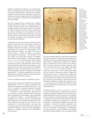 29
exemplo, compromete seriamente o seu sucesso repro-
dutivo. A integração funcional estende-se à morfologia
e às relações forma-função, a tal ponto que os paleon-
tólogos de vertebrados estão habituados a reconstruir
esqueletos, corpos e ecologias a partir de miscelâneas de
poucos ossos e dentes – um luxo raro em paleobotânica
(Cronquist 1988).
Há uma correlação inversa universal entre a especia-
lização funcional das células e a totipotência celular16
:
os tipos celulares animais muito especializados, em
condições normais, são incapazes de reverter à condição
de célula estaminal. Este facto ajuda a explicar por
que razão a reposição de partes perdidas por efeito
da idade, doença, acidente ou predação (e.g., morte de
células cerebrais, tecido cardíaco necrosado, ou a perda
de membros ou órgãos) é muito limitada nos grupos
animais de simetria bilateral.
A dimensão e as estruturas interna e externa dos seres
unitários encontram-se sob um rigoroso controlo do
genoma, sendo, por isso, pouco sensíveis a fatores
ambientais (Figura 9). O número e a forma dos órgãos
reprodutivos nos animais são determinados numa
fase embrionária (Graham et al. 2010). Com mais ou
menos recursos, o número de órgãos e a sua dispo-
sição espacial são constantes – nos mamíferos só há
um coração, os rins são dois, e quatro os membros,
dois superiores e dois inferiores. As plantas produzem
órgãos vegetativos (e.g., filídios, raízes, caules e folhas)
e órgãos reprodutivos (e.g., anterídios, cones e flores)
em número variável e, frequentemente, de forma esca-
lonada ao longo do tempo. Consequentemente, o corpo
dos animais só em parte pode ser ajustado à disponibi-
lidade de recursos. Este ajustamento ocorre antes ao
nível da população através de variações da densidade
populacional – os animais multiplicam-se com celeri-
dade quando o alimento abunda; na falta de alimento,
migram ou morrem de fome em massa.
Estrutura modular das plantas. Totipotência celular
As plantas são organismos modulares de crescimento
indeterminado. Modulares porque constituídos pela
repetição de unidades multicelulares discretas, i.e., por
módulos (modules), de grande autonomia funcional
(semiautónomos). A semiautonomia dos módulos
e a totipotência celular das plantas permitem que
o crescimento, ao nível do indivíduo, seja matematica-
mente modelado de forma análoga a uma comunidade
de organismos similares e semi-independentes, em
competição por recursos escassos, correspondendo
cada «organismo» a um módulo individual. De cresci-
mento indeterminado pelo facto de crescerem conti-
nuamente até à senescência/morte, ainda que este
crescimento possa ser interrompido por períodos de
quiescência/dormência mais ou menos prolongados,
quando as condições ambientais são desfavoráveis
ao crescimento.
A estrutura modular apenas se concretiza na parte aérea
do corpo das plantas. As raízes não se decompõem em
módulosexteriormenteevidentesetêmumcrescimento
oportunístico, dirigido pelos gradientes de oxigénio,
água e nutrientes no solo. Os caules, pelo contrário,
são construídos através do «encaixe» sucessivo, como
numa construção de lego, de um módulo elementar
– o fitómero (= metâmero; metamer, phytomer) – cons-
tituído por um entrenó17
, um nó e uma ou mais folhas
com os respetivos meristemas axilares18
(Figura 10).
O fitómero, por sua vez, organiza-se em módulos de
complexidade crescente; e.g., ramos e sistemas de ramos.
O crescimento da parte aérea é menos oportunístico do
que o das raízes, caso contrário, a copa das árvores seria
fortemente assimétrica, dirigida para onde vem a luz
– e, nas latitudes mais elevadas do hemisfério Norte,
as árvores tombariam com a idade para sul, e para norte
no hemisfério Sul.
As plantas ajustam o número, a disposição espacial
e, como refiro mais adiante, a identidade e a forma dos
módulos, às condições ambientais (e.g., temperatura) e à
disponibilidade de recursos (e.g., água, luz e nutrientes).
Por outras palavras, as plantas ajustam a sua dimensão
e arquitetura aos níveis de stresse ambiental. Quando
as condições ambientais são propícias e os recursos
abundantes, os meristemas caulinares ativos são mais
numerosos, o número de módulos produzidos por
meristema e o seu comprimento aumentam, os caules
são mais ramificados e mais longos, e as inflorescên-
cias mais numerosas e com mais flores. Em condições
de elevado stresse ambiental, são construídos menos
FIGURA 9
O corpo animal.
As partes em que se
divide o corpo dos
animais unitários
estão organizadas
hierarquicamente,
são interdependentes
e têm,
aproximadamente,
a mesma idade.
As estruturas
externa e interna têm
um forte controlo
genético e mantêm‑
‑se praticamente
inalteradas durante
o crescimento
pós‑embrionário.
Genericamente, os
homens adultos são
mais semelhantes
entre si do que duas
plantas coespecíficas.
O homem Vitruviano
de Leonardo da
Vinci (ca. 1490) é
uma representação
fidedigna da forma
humana; uma
tarefa difícil de
realizar com muitas
plantas. [Wikimedia
Commons.]
DISTRIBUIÇÃO GRATUITA. NÃO É PERMITIDA A COMERCIALIZAÇÃO.
©
 