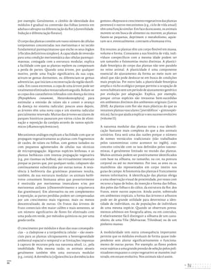 31
por exemplo. Geralmente, o câmbio de identidade dos
módulos é gradual na conversão das folhas juvenis em
adultas e abrupto na diferenciação da flor («Juvenilidade.
Indução e diferenciação florais»).
O corpo das plantas contém um vasto número de células
totipotentes concentradas nos meristemas e no tecido
fundamental parenquimatoso que enche os seus órgãos
(«Tecidos definitivos simples»). A capacidade de reversão
para uma condição meristemática das células parenqui-
matosas, conjugada com a estrutura modular, explica
a facilidade com que as plantas repõem ou compensam
a perda de partes. Quando uma árvore, por qualquer
motivo, perde uma fração significativa da sua copa,
ativam-se gemas dormentes, ou diferenciam-se gemas
adventícias, que iniciam a reconstrução da região danifi-
cada. Em casos extremos, a copa de uma árvore pode ser
totalmenteeliminadaerestauradaemseguida.Rolam-se
as copas dos castanheiros infetados com doença da tinta
(Phytophthora cinnamomi, Heterokontophyta) para
estimular a emissão de raízes sãs e conter o avanço
da doença no sistema radicular; poucos anos depois,
as árvores têm uma nova copa e um sistema radicular
parcialmente renovado. Muitas das árvores seculares de
parques históricos passaram por vários ciclos de elimi-
nação e reposição da canópia através de ramos epicór-
micos («Ramos epicórmicos»).
Mecanismos análogos explicam a facilidade com que se
propagam vegetativamente as plantas com fragmentos
de caules, de raízes ou folhas, com gomos isolados ou
com pequenos aglomerados de células nas técnicas
de micropropagação. Algumas espécies lenhosas, e as
plantas herbáceas com intensa propagação vegetativa
(e.g., por rizomas ou bolbos), são virtualmente imortais
porque as partes que, por qualquer razão, colapsam são
continuamente substituídas por outras novas. A resis-
tência à herbivoria das gramíneas pratenses resulta,
também, da sua estrutura modular: os animais herbí-
voros consomem biomassa aérea que posteriormente
é restituída por meristemas intercalares e/ou por
meristemas axilares («Desenvolvimento e arquitetura
das gramíneas»). Em alternativa ou em complemento
à reposição, as partes perdidas podem ser compensadas
por um crescimento mais vigoroso, mais ou menos
descentralizado, de outras. Os frutos das árvores de
fruto comerciais têm maior calibre e mais sementes, se
um número significativo de flores for eliminado com
uma poda em verde, por métodos químicos ou por uma
geada tardia.
O crescimento por módulos e duas das suas consequên-
cias – a cladoptose e a totipotência celular – são essen-
ciais para as plantas ultrapassarem a heterogeneidade
ambiental espacial e temporal e as limitações impostas
à captura de recursos pela sua natureza séssil, i.e., pela
imobilidade. Pela mesma razão, os animais sésseis
geralmente também têm uma estrutura modular
(e.g., corais). A dormência («Quiescência e dormência dos
gomos»,«Repousoecrescimentovegetativosdasplantas
perenes») e outros mecanismos (e.g., ciclo de vida anual)
têm uma função similar. Em face da escassez, os animais
movem-se em busca de alimento ou morrem; as plantas
fazem-se pequenas, deprimem o metabolismo, aquie-
tam-se e, eventualmente, contraem a biomassa viva.
Em resumo, as plantas têm um corpo flexível em massa,
volume e forma. Consoante a sua história de vida, indi-
víduos coespecíficos com a mesma idade podem ter
um tamanho e fisionomias muito distintas. A plastici-
dade fenotípica do corpo das plantas não tem paralelo
no reino animal. A plasticidade é uma componente
essencial do ajustamento da forma ao meio num ser
séssil que não pode deslocar-se em busca de condições
mais propícias. Por outro lado, a plasticidade fenotípica
amplia o nicho ecológico porque permite a ocupação de
novoshabitatssemumperíododeajustamentogenético
por evolução por adaptação. Explica, por exemplo,
porque certas espécies são invasoras bem-sucedidas
em ambientes distintos dos ambientes originais (Levin
2010). As plantas com flor são mais plásticas do que as
restantes plantas vasculares (‘pteridófitos’ + gimnospér-
micas), facto que ajuda a explicar o seu sucesso evolutivo
(volume II).
A natureza modular das plantas torna a sua identifi-
cação bastante mais complexa do que a dos animais
unitários. Esta será uma das razões porque o número
de nomes vernáculos tradicionais (não trabalhados
pelos taxonomistas como acontece no inglês), cujo
conceito coincide com os taxa definidos pelos taxono-
mistas, é geralmente limitado no mundo das plantas.
Muitos animais podem ser positivamente identificados
com base na silhueta, no tamanho, na cor, na postura
corporal ou até no movimento. Por isso, as aves ou os
mamíferos são representados em corpo inteiro nos
guias de campo. A fisionomia das plantas é francamente
menos informativa. A identificação das plantas obriga
a uma observação visual de proximidade, por vezes com
recurso a lupas de bolso, da inserção e forma das folhas,
dos pelos das folhas e do cálice, da estrutura da flor, dos
frutos, entre outros aspectos. Ainda assim, sobretudo
em ambientes tropicais, a forma das árvores e arbustos
pode ser de grande utilidade para determinar a iden-
tidade de indivíduos, ou de populações de indivíduos
de uma mesma espécie. Quando se observam povoa-
mentos arbóreos em fotografia aérea, ou em contraluz,
é relativamente fácil distinguir a silhueta de um casta-
nheiro, de uma Tilia (Malvaceae, Tilioideae) ou de um
pinheiro-manso.
A modularidade tem outra consequência importante:
permite que os módulos evoluam de forma quase inde-
pendente sem alterar significativamente o funciona-
mento de outras partes. Por exemplo, as flores podem
estar sujeitas a uma grande pressão de seleção pelos poli-
nizadores enquanto o corpo vegetativo se mantém inal-
terado, em estase evolutiva. Nos animais não é assim.
DISTRIBUIÇÃO GRATUITA. NÃO É PERMITIDA A COMERCIALIZAÇÃO.
©
 