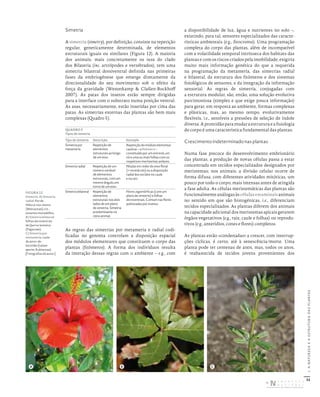 32
I.
A
NATUREZA
E
A
ESTRUTURA
DAS
PLANTAS
Simetria
A simetria (simetry), por definição, consiste na repetição
regular, geneticamente determinada, de elementos
estruturais iguais ou similares (Figura 12). A maioria
dos animais, mais concretamente os taxa do clado
dos Bilateria (inc. artrópodes e vertebrados), tem uma
simetria bilateral dorsiventral definida nas primeiras
fases da embriogénese que emerge diretamente da
direcionalidade do seu movimento sob o efeito da
força da gravidade (Westerkamp & Claßen-Bockhoff
2007). As patas dos insetos estão sempre dirigidas
para a interface com o substrato numa posição ventral.
As asas, necessariamente, estão inseridas por cima das
patas. As simetrias externas das plantas são bem mais
complexas (Quadro 5).
QUADRO 5
Tipos de simetria
Tipo de simetria Descrição Exemplo
Simetria por
metameria
Repetição de
elementos
estruturais ao longo
de um eixo.
Repetição do módulo elementar
caulinar – o fitómero –
constituído por um entrenó, um
nó e uma ou mais folhas com os
respetivos meristemas axilares.
Simetria radial Repetição de um
número variável
de elementos
estruturais, com um
mesmo ângulo, em
torno de um eixo.
Pétalas em redor do eixo floral
(= recetáculo) ou a disposição
radial dos tecidos no caule
e na raiz.
Simetria bilateral Repetição de
elementos
estruturais nos dois
lados de um plano
de simetria. Simetria
predominante no
reino animal.
Flores zigomórficas (com um
plano de simetria) e folhas
dorsiventrais. Comum nas flores
polinizadas por insetos.
As regras das simetrias por metameria e radial codi-
ficadas no genoma controlam a disposição espacial
dos módulos elementares que constituem o corpo das
plantas (fitómeros). A forma dos indivíduos resulta
da interação dessas regras com o ambiente – e.g., com
a disponibilidade de luz, água e nutrientes no solo –,
existindo, para tal, sensores especializados das caracte-
rísticas ambientais (e.g., fitocromo). Uma programação
completa do corpo das plantas, além de incompatível
com a volatilidade temporal intrínseca dos habitats das
plantas e com os riscos criados pela imobilidade, exigiria
muito mais informação genética do que a requerida
na programação da metameria, das simetrias radial
e bilateral, da estrutura dos fitómeros e dos sistemas
fisiológicos de sensores, e da integração da informação
sensorial. As regras de simetria, conjugadas com
a estrutura modular, são, então, uma solução evolutiva
parcimoniosa (simples e que exige pouca informação)
para gerar, em resposta ao ambiente, formas complexas
e plásticas, mas, ao mesmo tempo, evolutivamente
flexíveis, i.e., sensíveis a pressões de seleção de índole
diversa. A prontidão para mudar a estrutura e a fisiologia
do corpo é uma característica fundamental das plantas.
Crescimento indeterminado nas plantas
Numa fase precoce do desenvolvimento embrionário
das plantas, a produção de novas células passa a estar
concentrada em tecidos especializados designados por
meristemas; nos animais, a divisão celular ocorre de
forma difusa, com diferentes atividades mitóticas, um
pouco por todo o corpo, mais intensas antes de atingida
a fase adulta. As células meristemáticas das plantas são
funcionalmente análogas às célulasestaminaisanimais
no sentido em que são histogénicas, i.e., diferenciam
tecidos especializados. As plantas diferem dos animais
na capacidade adicional dos meristemas apicais gerarem
órgãos vegetativos (e.g., raiz, caule e folhas) ou reprodu-
tivos (e.g., anterídios, cones e flores) completos.
As plantas estão «condenadas» a crescer, com interrup-
ções cíclicas, é certo, até à senescência/morte. Uma
planta pode ter centenas de anos, mas, todos os anos,
é reabastecida de tecidos jovens provenientes dos
FIGURA 12
Simetria. A) Simetria
radial: flor de
Hibiscus rosa-sinensis
(Malvaceae); n.b.:
estames monadelfos.
B) Simetria bilateral:
folhas dorsiventrais
de Quercus lusitanica
(Fagaceae).
C) Simetria por
metameria: caule
de amor‑de‑
hortelão (Galium
aparine, Rubiaceae).
[Fotografias do autor.]
A B C
DISTRIBUIÇÃO GRATUITA. NÃO É PERMITIDA A COMERCIALIZAÇÃO.
©
 