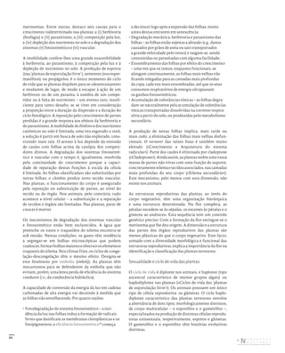 33
meristemas. Entre outras, destaco seis causas para o
crescimento indeterminado nas plantas: a (i) herbivoria
(fitofagia) e (ii) parasitismo, a (iii) competição pela luz,
a (iv) depleção dos nutrientes no solo e a degradação dos
sistemas (v) fotossintético e (vi) vascular.
A imobilidade confere-lhes uma grande suscetibilidade
à herbivoria, ao parasitismo, à competição pela luz e à
depleção de nutrientes no solo. A produção de esporos
(nas ‘plantas de esporulação livre’), sementes (nos esper-
matófitos) ou propágulos, é o único momento do ciclo
de vida que as plantas dispõem para se «desenraizarem»
e mudarem de lugar, de modo a escapar à ação de um
herbívoro ou de um parasita, à sombra de um compe-
tidor ou à falta de nutrientes – um evento raro, insufi-
ciente para tanto desafio, se se tiver em consideração
a proporção entre a duração da dispersão e a duração do
ciclo fenológico. A reposição pelo crescimento de partes
perdidas é a grande resposta aos efeitos da herbivoria e
do parasitismo. A mobilidade do fósforo e dos nutrientes
catiónicos no solo é limitada; uma vez esgotado o stock,
a solução é partir em busca de solo não explorado, cons-
truindo mais raiz. O acesso à luz depende da emissão
de caules com folhas acima da canópia dos competi-
dores diretos. A degradação dos sistemas fotossinté-
tico e vascular com o tempo é, igualmente, resolvida
pela continuidade do crescimento porque a capaci-
dade de reparação destas funções à escala da célula
é limitada. As folhas «danificadas» são substituídas por
novas folhas; o câmbio produz novo tecido vascular.
Nas plantas, o funcionamento do corpo é assegurado
pela reposição ou substituição de partes, ao nível do
tecido ou do órgão. Nos animais, pelo contrário, tudo
acontece a nível celular – a substituição e a reparação
de tecidos e órgãos são limitadas. Nas plantas, parar de
crescer é morrer.
Os mecanismos de degradação dos sistemas vascular
e fotossintético estão bem esclarecidos. A água que
preenche os vasos e traqueídos do xilema encontra-se
sob tensão. Nestas condições, os gases têm tendência
a segregar-se em bolhas microscópicas que podem
coalescer,formarbolhasmaioreseobstruiroselementos
traqueais do xilema. Nos climas frios, os ciclos de conge-
lação-descongelação têm o mesmo efeito. Designa-se
este fenómeno por embolia (emboly). As plantas têm
mecanismos para se defenderem da embolia que não
evitam, porém, uma lenta perda de eficiência do sistema
condutor (i.e., da condutância hidráulica).
A capacidade de conversão da energia da luz em cadeias
carbonadas de alta energia vai decaindo à medida que
as folhas vão envelhecendo. Por quatro razões:
• Fotodegradação do sistema fotossintético – a inci-
dência da luz nas folhas induz a formação de radicais
livres que danificam as membranas cloroplásticas e os
fotopigmentos; a eficiência fotossintética19
começa
a decrescer logo após a expansão das folhas, muito
antes destas entrarem em senescência;
• Degradação mecânica, herbivoria e parasitismo das
folhas – as folhas estão sujeitas a abrasão (e.g., danos
causados por grãos de areia ou sais transportados
a grande velocidade pelo vento) e rasgam-se, sendo
consumidas ou parasitadas com alguma facilidade;
• Ensombramento das folhas por efeito do crescimento
– uma vez que os ramos, enquanto funcionais, se
alongam continuamente, as folhas mais velhas vão
ficando relegadas para as camadas mais profundas
da copa, cada vez mais ensombradas, até que os seus
consumos respiratórios de energia ultrapassam
os ganhos fotossintéticos;
• Acumulação de substâncias tóxicas – as folhas degra-
dam-se naturalmente pela acumulação de substâncias
tóxicas transportadas dissolvidas na corrente respira-
tória a partir do solo, ou produzidas pelo metabolismo
secundário.
A produção de novas folhas implica, mais tarde ou
mais cedo, a eliminação das folhas mais velhas disfun-
cionais. O turnover das raízes finas é também muito
elevado («Crescimento e Arquitetura do sistema
radicular»). Parte dos caules é eliminada por cladoptose
(«Cladoptose»).Aindaassim,asplantasretêm uma vasta
massa de partes não vivas com uma função de suporte,
concretamentexilemaetecidosassociados,nascamadas
mais profundas do seu corpo («Xilema secundário»).
Este mecanismo, pelo menos com esta dimensão, não
existe nos animais.
As estruturas reprodutivas das plantas, ao invés do
corpo vegetativo, têm uma organização hierárquica
e uma estrutura determinada. Na flor completa, as
pétalas sucedem-se às sépalas, os estames às pétalas e o
gineceu ao androceu. Esta sequência tem um controlo
genético preciso. Com a formação da flor extingue-se o
meristema que lhe deu origem. A dimensão e a estrutura
das partes dos órgãos reprodutivos das plantas são
menos plásticas do que o corpo vegetativo. Este facto,
somado com a diversidade morfológica e funcional das
estruturas reprodutivas, explica a importância da flor na
identificação e classificação das plantas terrestres.
Sexualidade e ciclo de vida das plantas
O ciclo de vida é diplonte nos animais, e haplonte (tipo
ancestral característico de muitos grupos algais) ou
haplodiplonte nas plantas («Ciclos de vida das ‘plantas
de esporulação livre’»). Os animais possuem um único
tipo de célula reprodutiva: os gâmetas. O ciclo haplo-
diplonte característico das plantas terrestres envolve
a alternância de dois tipos, morfologicamente distintos,
de corpo multicelular – o esporófito e o gametófito –,
especializados na produção de distintas células reprodu-
toras unissexuais, respetivamente, esporos e gâmetas.
O gametófito e o esporófito têm histórias evolutivas
distintas.
DISTRIBUIÇÃO GRATUITA. NÃO É PERMITIDA A COMERCIALIZAÇÃO.
©
 
