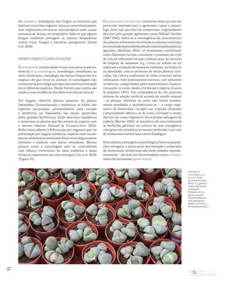 37
Os endófitos (endophytes) são fungos ou bactérias que
habitam os tecidos vegetais, intra ou intercelularmente,
sem originarem estruturas macroscópicas nem causar
sintomas de doença no hospedeiro. Sabe-se que alguns
fungos endófitos protegem as plantas hospedeiras
contra vírus, fungos e bactérias patogénicos (Gond
et al. 2010).
MIMETISMO E CAMUFLAGEM
O mimetismo (similaridade visual com outras espécies;
mimicry) e a camuflagem (morfologia semelhante ao
meio envolvente; camouflage) são menos frequentes nos
vegetais do que entre os animais. A camuflagem não
éumainteraçãoecológicaporquenãoenvolveainteração
entre diferente espécies. Desde Darwin que ambos são
usados como evidências dos efeitos da seleção natural.
Em Angola, observei plantas parasitas do género
Tapinanthus (Loranthaceae) a mimetizar as folhas das
espécies parasitadas, provavelmente para escapar
à herbivoria (os Tapinanthus são muito apetecidos
pelos grandes herbívoros). Estão descritas trepadeiras
a mimetizar as plantas que lhe servem de suporte com
o mesmo objetivo (Gianoli & Carrasco-Urra 2014).
Refiro mais adiante («Polinização por engano») que, na
polinização por engano alimentar, espécies sem recom-
pensas alimentares produzem flores morfologicamente
similares a espécies com néctar abundante. Muitas
plantas usam a camuflagem para se confundirem
com objetos irrelevantes do meio ambiente e dessa
forma se esquivarem aos seus inimigos (Liu et al. 2018)
(Figura 15).
O mimetismo vaviloviano (vavilovian mimicry) tem um
particular interesse para o agrónomo e para o arqueó-
logo. Este tipo peculiar de mimetismo, originalmente
descrito pelo grande agrónomo russo Nikolai Vavilov
(1887-1943), refere-se à convergência de características
das plantas infestantes em direção às plantas cultivadas
emresultadodapressãodeseleçãoimpostapelaspráticas
agrícolas (McElroy 2014). O mimetismo vaviloviano
toma diferentes formas consoante o momento do ciclo
de vida da infestante em que a seleção atua. As técnicas
de limpeza de sementes (e.g., crivos ou volteio no ar)
explicam a evolução de sementes similares, na forma ou
na densidade, com as sementes de várias plantas culti-
vadas. Na cultura tradicional do linho ocorriam várias
infestantes, hoje praticamente extintas, com sementes
miméticas, categorizadas pelos taxonomistas clássicos,
consoante os casos, desde a forma até à espécie (Castro
& Sequeira 1995). Em consequência de um processo
milenar de seleção artificial através da monda manual
– as plantas similares ao arroz não foram erronea-
mente mondadas e multiplicaram-se –, o corpo vege-
tativo da Echinochloa crus-galli var. oryzicola (Poaceae)
é praticamente idêntico ao do arroz cultivado, e muito
distinto do corpo vegetativo dos ecótipos selvagens da
espécie (Barrett 1983). A resistência de uma infestante
ao herbicida glifosato na cultura da soja transgénica
com genes de resistência ao mesmo herbicida é um caso
de mimetismo vaviloviano a nível fisiológico.
Pese embora a divergência morfológica frente às popula-
ções selvagens, a maior parte dos exemplos conhecidos
de mimetismo vaviloviano não estão isolados reprodu-
tivamente – são hoje em dia entendidos como ecótipos,
mais concretamente agroecótipos.
FIGURA 15
Camuflagem nas
plantas. Várias
aizoáceas do Sul de
África – e.g., géneros
Lithops, Argyroderma
ou Pleiospilos
(Pleiospilos nelii, na
figura) – passam
desapercebidas em
solos pedregosos
(Kellner et al. 2011).
[Fotografia do autor.]
DISTRIBUIÇÃO GRATUITA. NÃO É PERMITIDA A COMERCIALIZAÇÃO.
©
 