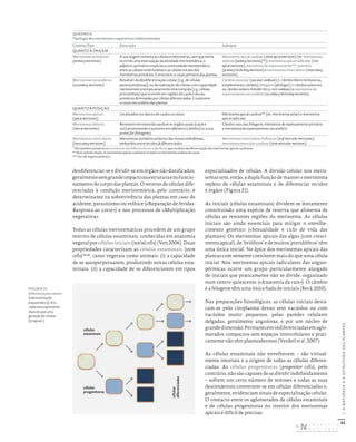 42
I.
A
NATUREZA
E
A
ESTRUTURA
DAS
PLANTAS
desdiferenciar-se e dividir-se em órgãos não danificados,
geralmentesemgrandeimpactonaestruturaenofuncio-
namento do corpo das plantas. O retorno de células dife-
renciadas à condição meristemática, pelo contrário, é
determinante na sobrevivência das plantas em caso de
acidente, parasitismo ou velhice («Reparação de feridas.
Resposta ao corte») e nos processos de «Multiplicação
vegetativa».
Todas as células meristemáticas procedem de um grupo
restrito de células estaminais, conhecidas em anatomia
vegetalporcélulasiniciais(initialcells)(Veit2006).Duas
propriedades caracterizam as células estaminais (stem
cells)35/36
, tanto vegetais como animais: (i) a capacidade
de se autoperpetuarem, produzindo novas células esta-
minais; (ii) a capacidade de se diferenciarem em tipos
especializados de células. A divisão celular nos meris-
temas tem, então, a dupla função de manter o meristema
repleto de células estaminais e de diferenciar tecidos
e órgãos (Figura 21).
As iniciais (células estaminais) dividem-se lentamente
constituindo uma espécie de reserva que alimenta de
células as restantes regiões do meristema. As células
iniciais são ainda essenciais para mitigar o envelhe-
cimento genético («Sexualidade e ciclo de vida das
plantas»). Os meristemas apicais das algas (com cresci-
mentoapical),de‘briófitos’edemuitos‘pteridófitos’têm
uma única inicial. No ápice dos meristemas apicais das
plantas com semente coexistem mais do que uma célula
inicial. Nos meristemas apicais radiculares das angios-
pérmicas ocorre um grupo particularmente alargado
de iniciais que praticamente não se divide, organizado
num centro quiescente («Anatomia da raiz»). O câmbio
e a felogene têm uma única fiada de iniciais (Beck 2010).
Nas preparações histológicas, as células iniciais desta-
cam-se pelo citoplasma denso sem vacúolos ou com
vacúolos muito pequenos, pelas paredes celulares
delgadas, geralmente angulosas, e por um núcleo de
grandedimensão.Permanecemindiferenciadasemaglo-
merados compactos sem espaços intercelulares e prati-
camente não têm plasmodesmos (Verdeil et al. 2007).
As células estaminais não envelhecem – são virtual-
mente imortais e a origem de todas as células diferen-
ciadas. As células progenitoras (progenitor cells), pelo
contrário, não são capazes de se dividir indefinidamente
– sofrem um certo número de mitoses e todas as suas
descendentes convertem-se em células diferenciadas e,
geralmente, evidenciam sinais de especialização celular.
O contacto entre os aglomerados de células estaminais
e de células progenitoras no interior dos meristemas
apicais é difícil de precisar.
QUADRO 6
Tipologia dos meristemas vegetativos indeterminados
Critério/Tipo Descrição Subtipos
QUANTO À ORIGEM
Meristemas primários*
(primary meristems)
A sua origem remonta às células embrionárias, sem que tenha
ocorrido uma interrupção da atividade meristemática; o
adjetivo «primário» explicita a continuidade meristemática
entre as células embrionárias e as células iniciais dos
meristemas primários. Constroem o corpo primário das plantas.
Meristema apical caulinar (shoot apical meristem) (inc. meristemas
axilares [axillary meristems]**), meristema apical radicular (root
apical meristem), meristema de espessamento*** primário
(primary thickening meristem) e meristemas intercalares (intercalary
meristems).
Meristemas secundários
(secondary meristems)
Resultam da desdiferenciação celular (e.g., de células
parenquimatosas), ou da reativação de células com capacidade
meristemática temporariamente interrompida (e.g., células
procambiais) que ocorrem em regiões do caule e da raiz
primários dominadas por células diferenciadas. Constroem
o corpo secundário das plantas.
Câmbio vascular (vascular cambium) (= câmbio libero‑lenhoso ou,
simplesmente, câmbio), felogene (phellogen) (= câmbio suberoso
ou câmbio subero‑felodérmico; cork cambium) e meristema de
espessamento secundário (secondary thickening meristem).
QUANTO À POSIÇÃO
Meristemas apicais
(apical meristems)
Localizados nos ápices de caules ou raízes. Meristema apical caulinar** (inc. meristema axilar) e meristema
apical radicular.
Meristemas laterais
(lateral meristems)
Revestem em extensão variável os órgãos axiais (caule e
raiz) promovendo o aumento em diâmetro (câmbio) ou a sua
proteção (felogene).
Câmbio vascular, felogene, meristema de espessamento primário
e meristema de espessamento secundário.
Meristemas intercalares
(intercalary meristems)
Meristemas primários próprios das monocotiledóneas,
embutidos entre tecidos já diferenciados.
Meristemas intercalares folheares (leaf intercalar meristems);
meristema intercalar caulinar (stem intercalar meristem).
* São também primários os meristemas das inflorescências e das flores que resultam da diferenciação dos meristemas apicais caulinares.
** Num sentido amplo, os meristemas apicais caulinares incluem os meristemas axilares do caule.
*** Ou «de engrossamento».
FIGURA 21
Diferenciação celular
(representação
esquemática). N.b.,
cada seta representa
mais do que uma
geração de células.
[Original.]
células
estaminais
células
progenitoras
células
diferenciadas
DISTRIBUIÇÃO GRATUITA. NÃO É PERMITIDA A COMERCIALIZAÇÃO.
©
 
