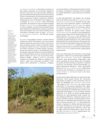 44
I.
A
NATUREZA
E
A
ESTRUTURA
DAS
PLANTAS
crescimento secundário, o crescimento processa-se a
dois tempos, governado por meristemas vegetativos
distintos: (i) as raízes e os caules, primeiro, alongam-se
pela extremidade através da ação de meristemas apicais
e fazem o corpo primário; (ii) numa fase posterior, geral-
mente prontamente iniciada, aumentam de diâmetro
(engrossamento sem a formação de novos órgãos) com
a produção do corpo secundário pelos meristemas
secundários. A formação do corpo secundário depende
de dois meristemas laterais especializados: o câmbio
vascular e a felogene. A alusão à sua lateralidade denota
que se dispõem no sentido do eixo caulinar ou radicular
onde estão alojados. Nas raras monocotiledóneas com
crescimento secundário entra em jogo o meristema
de espessamento secundário – não têm nem câmbio,
nem felogene.
O câmbio é uma delgada, sensível e contínua película
cilíndrica de células meristemáticas, de uma a poucas
células de espessura, que percorre todo o corpo secun-
dário das plantas (raízes e caules secundários), imedia-
tamente por debaixo da casca. A presença de câmbio
nas folhas é incomum. O câmbio produz centripeta-
mente (para dentro) xilema e centrifugamente (para
fora) floema. Regra geral, diferencia-se a pouca distância
dos meristemas apicais por entre os feixes primários de
floema e xilema. A felogene tem uma estrutura seme-
lhante ao câmbio – produz a periderme, um tecido
complexo de proteção que substitui a epiderme nos
caules e raízes com crescimento secundário. Como
adiante refiro («Periderme e ritidoma»), a felogene,
ao invés do câmbio, é ciclicamente reiniciada. O estudo
do câmbio e da felogene é realizado com mais detalhe
no capítulo dedicado ao caule («Estrutura secundária
do caule»).
A vida pós-embriónica38
das plantas com semente
pode ser dividida em duas fases: fase vegetativa e fase
reprodutiva (= generativa). A transição da fase vege-
tativa para a fase reprodutiva implica a conversão de
todos ou de parte dos meristemas vegetativos (vegeta-
tive meristems), concretamente de meristemas apicais
ou axilares caulinares, em meristemas reprodutivos
(reproductive meristems). As plantas anuais, bienais
e monocárpicas perenes entram na fase reprodutiva e
senescem pouco depois da frutificação (Figura 23). Nas
plantas perenes policárpicas, a fase reprodutiva está
relacionada com a capacidade de alternar, ou de somar,
a produção de gemas vegetativas com a diferenciação
de gemas florais ou mistas («Gemas»). Nas plantas com
flor, os meristemas reprodutivos passam por duas fases:
(i) meristema da inflorescência (inflorescence meristem),
enquanto diferenciam as estruturas da inflorescência,
e (ii) meristema floral (floral meristem), quando geram
as peças da flor.
Uma outra classificação dos meristemas, não incluída
no Quadro 6, refere-se à sua determinação (Sablowski
2007). Os meristemas determinados (determinate
meristems) estão geneticamente programados para
cessar a produção de novas células uma vez atingido
um estádio de desenvolvimento específico. Produzem
estruturas com dimensão e formas determinadas; e.g.,
folhas (meristemas folheares) e flores (meristemas
florais). Os meristemas indeterminados (indeterminate
meristems) estão envolvidos no crescimento de órgãos
indeterminados, i.e., da raiz, do caule e, por vezes,
da inflorescência.
Os meristemas podem diferenciar-se a partir de tecidos
definitivos, numa posição distinta dos meristemas
enumerados no Quadro 6. Estes meristemas «fora do
lugar» são designados por meristemas adventícios39
– dão origem a órgãos adventícios (e.g., raízes e caules
adventícios). Os meristemas adventícios têm origem
em (i) células parenquimatosas definitivas que manti-
veram a capacidade de se desdiferenciar e retomar uma
capacidade meristemática, ou em (ii) células cambiais
(Hartmann et al. 2014a). As células parenquimatosas
definitivas em causa geralmente estão situadas nos
raios xilémicos e floémicos, no periciclo caulinar, ou em
lacunas («Cilindro central»). A diferenciação de meris-
temas pode ser antecedida pela formação de um calo
mais ou menos volumoso. Os calos são proliferações
celulares irregulares de células parenquimatosas que
se formam em feridas ou cortes, que têm a sua origem
em células parenquimatosas definitivas. Diz-se que
os órgãos adventícios diferenciados a partir de calos
têm uma organogénese indireta. Implicitamente, nos
outros casos a organogénese é direta.
FIGURA 23
Plantas
monocárpicas
perenes. Em
ambientes tropicais,
o sisal produz um
longo escapo com
uma inflorescência
terminal 10‑15 anos
após a plantação
(a propagação
geralmente faz‑se por
bolbilhos), morrendo
em seguida. O ciclo
de vida do sisal é
mais longo sob clima
temperado (Bean
1981). O corte do
escapo, mal este
emirja entre as folhas,
prolonga o ciclo de
vida do sisal e de
outras Agave, uma
técnica corrente em
jardinagem. [Sumbe,
Angola; fotografia do
autor.]
DISTRIBUIÇÃO GRATUITA. NÃO É PERMITIDA A COMERCIALIZAÇÃO.
©
 