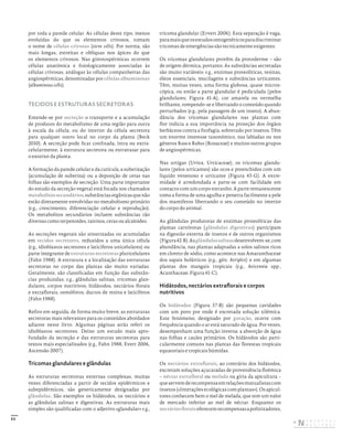 53
por toda a parede celular. As células deste tipo, menos
evoluídas do que os elementos crivosos, tomam
o nome de células crivosas (sieve cells). Por norma, são
mais longas, estreitas e oblíquas nos ápices do que
os elementos crivosos. Nas gimnospérmicas ocorrem
células anatómica e fisiologicamente associadas às
células crivosas, análogas às células companheiras das
angiospérmicas, denominadas por células albuminosas
(albuminous cells).
TECIDOS E ESTRUTURAS SECRETORAS
Entende-se por secreção o transporte e a acumulação
de produtos do metabolismo de uma região para outra
à escala da célula, ou do interior da célula secretora
para qualquer outro local no corpo da planta (Beck
2010). A secreção pode ficar confinada, intra ou extra-
celularmente, à estrutura secretora ou extravasar para
o exterior da planta.
A formação da parede celular e da cutícula, a suberização
(acumulação de suberina) ou a deposição de ceras nas
folhas são exemplos de secreção. Uma parte importante
do estudo da secreção vegetal está focada nos chamados
metabolitossecundários,substânciasorgânicasquenão
estão diretamente envolvidas no metabolismo primário
(e.g., crescimento, diferenciação celular e reprodução).
Os metabolitos secundários incluem substâncias tão
diversas como terpenoides, taninos, ceras ou alcaloides.
As secreções vegetais são sintetizadas ou acumuladas
em tecidos secretores, reduzidos a uma única célula
(e.g., idioblastos secretores e laticíferos unicelulares) ou
parte integrante de estruturas secretoras pluricelulares
(Fahn 1988). A estrutura e a localização das estruturas
secretoras no corpo das plantas são muito variadas.
Geralmente, são classificadas em função das substân-
cias produzidas; e.g., glândulas salinas, tricomas glan-
dulares, corpos nutritivos, hidátodos, nectários florais
e extraflorais, osmóforos, ductos de resina e laticíferos
(Fahn 1988).
Refiro em seguida, de forma muito breve, as estruturas
secretoras mais relevantes para os conteúdos abordados
adiante neste livro. Algumas páginas atrás referi os
idioblastos secretores. Deixo um estudo mais apro-
fundado da secreção e das estruturas secretoras para
textos mais especializados (e.g., Fahn 1988, Evert 2006,
Ascensão 2007).
Tricomas glandulares e glândulas
As estruturas secretoras externas complexas, muitas
vezes diferenciadas a partir de tecidos epidérmicos e
subepidérmicos, são genericamente designadas por
glândulas. São exemplos os hidátodos, os nectários e
as glândulas salinas e digestivas. As estruturas mais
simples são qualificadas com o adjetivo «glandular» e.g.,
tricoma glandular (Ervert 2006). Esta separação é vaga,
paramaisqueosestudosontogenéticosparadiscriminar
tricomas de emergências são tecnicamente exigentes.
Os tricomas glandulares provêm da protoderme – são
de origem dérmica, portanto. As substâncias secretadas
são muito variáveis: e.g., enzimas proteolíticas, resinas,
óleos essenciais, mucilagens e substâncias urticantes.
Têm, muitas vezes, uma forma globosa, quase micros-
cópica, ou então a parte glandular é pediculada (pelos
glandulares; Figura 41-A), cor amarela ou vermelha
brilhante, rompendo-se e libertando o conteúdo quando
perturbados (e.g., pela passagem de um inseto). A abun-
dância dos tricomas glandulares nas plantas com
flor indicia a sua importância na proteção dos órgãos
herbáceos contra a fitofagia, sobretudo por insetos. Têm
um enorme interesse taxonómico, nas labiadas ou nos
géneros Rosa e Rubus (Rosaceae) e muitos outros grupos
de angiospérmicas.
Nas urtigas (Urtica, Urticaceae), os tricomas glandu-
lares (pelos urticantes) são ocos e preenchidos com um
líquido venenoso e urticante (Figura 43-G). A extre-
midade é arredondada e parte-se com facilidade em
contacto com um corpo estranho. A parte remanescente
toma a forma de uma agulha e penetra facilmente a pele
dos mamíferos libertando o seu conteúdo no interior
do corpo do animal.
As glândulas produtoras de enzimas proteolíticas das
plantas carnívoras (glândulas digestivas) participam
na digestão externa de insetos e de outros organismos
(Figura42-B).Asglândulassalinasdesenvolvem-se,com
abundância, nas plantas adaptadas a solos salinos ricos
em cloreto de sódio, como acontece nas Amaranthaceae
dos sapais holárticos (e.g., gén. Atriplex) e em algumas
plantas dos mangais tropicais (e.g., Avicennia spp.,
Acanthaceae; Figura 41-C).
Hidátodos, nectários extraflorais e corpos
nutritivos
Os hidátodos (Figura 37-B) são pequenas cavidades
com um poro por onde é excretada solução xilémica.
Este fenómeno, designado por gutação, ocorre com
frequência quando o ar está saturado de água. Por vezes,
desempenham uma função inversa: a absorção de água
nas folhas e caules primários. Os hidátodos são parti-
cularmente comuns nas plantas das florestas tropicais
equatoriais e tropicais húmidas.
Os nectários extraflorais, ao contrário dos hidátodos,
excretam soluções açucaradas de proveniência floémica
– néctar extrafloral ou melada na gíria da apicultura –
queservemderecompensaemrelaçõesmutualistascom
insetos(«Interaçõesecológicascomplantas»).Osapicul-
tores conhecem bem o mel de melada, que tem um valor
de mercado inferior ao mel de néctar. Enquanto os
nectáriosfloraisoferecemrecompensasapolinizadores,
DISTRIBUIÇÃO GRATUITA. NÃO É PERMITIDA A COMERCIALIZAÇÃO.
©
 