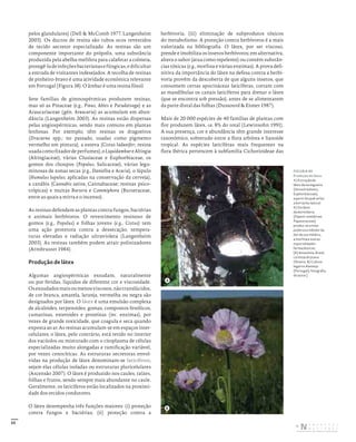 55
pelos glandulares) (Dell & McComb 1977, Langenheim
2003). Os ductos de resina são tubos ocos revestidos
de tecido secretor especializado. As resinas são um
componente importante do própolis, uma substância
produzida pela abelha-melífera para calafetar a colmeia,
protegê-ladeinfeçõesbacterianasefúngicas,edificultar
a entrada de visitantes indesejados. A recolha de resinas
de pinheiro-bravo é uma atividade económica relevante
em Portugal (Figura 38). O âmbar é uma resina fóssil.
Sete famílias de gimnospérmicas produzem resinas,
mas só as Pinaceae (e.g., Pinus, Abies e Pseudotsuga) e as
Araucariaceae (gén. Araucaria) as acumulam em abun-
dância (Langenheim 2003). As resinas estão dispersas
pelas angiospérmicas, sendo mais comuns em plantas
lenhosas. Por exemplo, têm resinas os dragoeiros
(Dracaena spp.; no passado, usadas como pigmento
vermelho em pintura), a esteva (Cistus ladanifer; resina
usadacomofixadordeperfumes),oLiquidambareAltingia
(Altingiaceae), várias Clusiaceae e Euphorbiaceae, os
gomos dos choupos (Populus, Salicaceae), várias legu-
minosas de zonas secas (e.g., Daniellia e Acacia), o lúpulo
(Humulus lupulus; aplicadas na conservação da cerveja),
a canábis (Cannabis sativa, Cannabaceae; resinas psico-
trópicas) e muitas Bursera e Commiphora (Burseraceae,
entre as quais a mirra e o incenso).
As resinas defendem as plantas contra fungos, bactérias
e animais herbívoros. O revestimento resinoso de
gomos (e.g., Populus) e folhas jovens (e.g., Cistus) tem
uma ação protetora contra a dessecação, tempera-
turas elevadas e radiação ultravioleta (Langenheim
2003). As resinas também podem atrair polinizadores
(Armbruster 1984).
Produção de látex
Algumas angiospérmicas exsudam, naturalmente
ou por feridas, líquidos de diferente cor e viscosidade.
Osexsudadosmaisoumenosviscosos,nãotranslúcidos,
de cor branca, amarela, laranja, vermelha ou negra são
designados por látex. O látex é uma emulsão complexa
de alcaloides, terpenoides, gomas, compostos fenólicos,
cumarinas, esteroides e proteínas (inc. enzimas), por
vezes de grande toxicidade, que coagula e seca quando
exposta ao ar. As resinas acumulam-se em espaços inter-
celulares; o látex, pelo contrário, está retido no interior
dos vacúolos ou misturado com o citoplasma de células
especializadas muito alongadas e ramificação variável,
por vezes cenocíticas. As estruturas secretoras envol-
vidas na produção de látex denominam-se laticíferos,
sejam elas células isoladas ou estruturas pluricelulares
(Ascensão 2007). O látex é produzido nos caules, raízes,
folhas e frutos, sendo sempre mais abundante no caule.
Geralmente, os laticíferos estão localizados na proximi-
dade dos tecidos condutores.
O látex desempenha três funções maiores: (i) proteção
contra fungos e bactérias; (ii) proteção contra a
herbivoria; (iii) eliminação de subprodutos tóxicos
do metabolismo. A proteção contra herbívoros é a mais
valorizada na bibliografia. O látex, por ser viscoso,
prende e imobiliza os insetos herbívoros; em alternativa,
altera o sabor (atua como repelente) ou contém substân-
cias tóxicas (e.g., morfina e várias enzimas). A prova defi-
nitiva da importância do látex na defesa contra a herbi-
voria provém da descoberta de que alguns insetos, que
consomem certas apocináceas laticíferas, cortam com
as mandíbulas os canais laticíferos para drenar o látex
(que se encontra sob pressão), antes de se alimentarem
da parte distal das folhas (Dussourd & Eisner 1987).
Mais de 20 000 espécies de 40 famílias de plantas com
flor produzem látex, ca. 8% do total (Lewinsohn 1991).
A sua presença, cor e abundância têm grande interesse
taxonómico, sobretudo entre a flora arbórea e lianoide
tropical. As espécies laticíferas mais frequentes na
flora ibérica pertencem à subfamília Cichorioideae das
A
B
FIGURA 40
Produção de látex.
A) Extração de
látex da seringueira
(Hevea brasiliensis,
Euphorbiaceae),
a partir do qual se faz
a borracha natural.
B) Do látex
da dormideira
(Papaver somniferum,
Papaveraceae)
produz‑se o mais
poderoso inibidor da
dor de uso médico,
a morfina e outras
especialidades
farmacêuticas.
[A) Amazónia, Brasil;
cortesia de Joana
Oliveira. B) Cultivo
legal no Alentejo
(Portugal); fotografia
do autor.]
DISTRIBUIÇÃO GRATUITA. NÃO É PERMITIDA A COMERCIALIZAÇÃO.
©
 