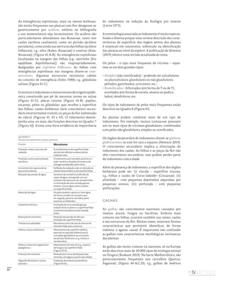 57
As emergências espinhosas, mais ou menos lenhosas,
são muito frequentes nas plantas com flor; designam-se
genericamente por acúleos, embora na bibliografia
a sua nomenclatura seja inconsistente. Os acúleos são
particularmente abundantes nas Rosaceae, tanto nos
caules (acúleos caulinares), como no pecíolo (acúleos
peciolares), como ainda nas nervuras das folhas (acúleos
folheares); e.g., silva (Rubus, Rosaceae) e roseiras (Rosa,
Rosaceae) (Figura 41-A,B). As emergências espinhosas
localizadas na margem das folhas (e.g., azevinho [Ilex
aquifolium, Aquifoliaceae]) são, inapropriadamente,
designadas por espinhos folheares. As folhas com
emergências espinhosas nas margens dizem-se espi-
nescentes. Algumas estruturas secretoras cabem
no conceito de emergência (Fahn 1988); e.g., glândulas
salinas (Figura 41-C).
Constituioindumentoorevestimentodeorigemepidér-
mica constituído por pó de natureza cerosa ou salina
(Figura 41-C), placas cerosas (Figura 41-B), papilas,
escamas, pelos ou glândulas, que recobre a superfície
das folhas, caules herbáceos (sem crescimento secun-
dário exteriormente visível) ou peças da flor (sobretudo
do cálice) (Figuras 41, 42 e 43). O indumento desem-
penha uma, ou mais, das funções descritas no Quadro 7
(Figura 42). Existe uma forte evidência da importância
do indumento na redução da fitofagia por insetos
(Levin 1973).
Aterminologiaassociadaaoindumentoémuitoespecia-
lizada e diversa porque uma correta descrição das carac-
terísticas da superfície dos órgãos aéreos das plantas
é essencial em taxonomia, sobretudo na identificação
das plantas ao nível da espécie. A publicação de Hewson
(2019) oferece uma revisão atualizada do tema.
Os pelos – o tipo mais frequente de tricoma – repar-
tem-se em dois grandes tipos:
• Simples (não ramificados) – podendo ser unicelulares
ou pluricelulares, glandulares ou não glandulares,
peltados, gancheados, urticantes, etc.;
• Ramificados – bifurcados (em forma de T ou de Y),
estrelados (em forma de estrela, sésseis ou pedicu-
lados), dendríticos, etc.
Os tipos de indumento de pelos mais frequentes estão
descritos no Quadro 8 (Figura 43).
As plantas podem combinar mais de um tipo de
indumento. Por exemplo, muitas Lamiaceae possuem
um ou mais tipos de tricomas glandulares, combinados
com pelos não glandulares, simples ou ramificados.
Os órgãos desprovidos de indumento dizem-se glabros;
glabrescentes se este for raro e esparso (Hewson 2019).
O crescimento secundário implica a eliminação do
indumento dos caules. As folhas e as peças da flor não
têm crescimento secundário, mas podem perder parte
do indumento com a idade.
Além da presença de indumento, a superfície dos órgãos
herbáceos pode ser: (i) víscida – superfície viscosa,
e.g., folhas e caules de Cistus ladanifer (Cistaceae); (ii)
alveolada – com pequenas depressões separadas por
pequenas arestas; (iii) perfurada – com pequenas
perfurações.
GALHAS
As galhas são crescimentos anormais causados por
insetos, ácaros, fungos ou bactérias. Embora mais
comuns nas folhas, ocorrem também nas raízes, caules
e nas estruturas da flor. Muitas vezes, mostram formas
características que permitem identificar, de forma
indireta, o agente causal. É importante não confundir
as galhas com características morfológicas intrínsecas
das plantas.
As galhas são muito comuns na natureza, só na Europa
estão descritas mais de 10 000 tipos de etiologia animal
ou fúngica (Roskam 2019). Na bacia Mediterrânica, são
particularmente frequentes nos carvalhos (Quercus,
Fagaceae) (Figura 44-A,C,D); e.g., galhas de Andricus
QUADRO 7
Função do indumento (vários autores)
Função Mecanismo
Proteção contra o excesso de
radiação
Ensombramento da superfície foliar
através da reflexão ou absorção da
radiação solar.
Proteção contra a perturbação
mecânica
O indumento, por exemplo, amortece a
ação mecânica de grãos de areia ou da
salsugem projetados pelo vento.
Incremento da captura de luz
para a fotossíntese
Reflexão da radiação solar em direção às
células fotossintéticas do mesofilo foliar.
Redução das perdas de água Aumento da resistência à difusão de
vapor de água conseguida com um
aumento da espessura da camada limite
e a formação de uma camada gasosa
estável, rica em água, entre os pelos
e a superfície foliar.
Absorção de água Os pelos podem capturar e reter água
da chuva, orvalho ou nevoeiro que,
em seguida, penetra nas folhas pelos
estomas ou hidátodos.
Isolamento térmico Formação de uma camada gasosa
estável entre os pelos e a superfície foliar
e aumento da espessura da camada
limite.
Retenção de nutrientes Redução das perdas de iões por
lixiviação da superfície foliar.
Tolerância à salinidade Movimento ativo de sais do interior do
mesofilo foliar para o exterior.
Defesa contra a herbivoria Afastamento da superfície (defesa
passiva) ou repulsão (defesa ativa)
com pelos glandulares ou urticantes
de animais herbívoros (e.g., insetos e
vertebrados).
Defesa contra microrganismos
patogénicos
Afastamento do inóculo (e.g., esporos
de fungos) da superfície foliar
(Figura 42‑A).
Proteção dos estomas Redução dos riscos de bloqueio dos
estomas com água ou partículas sólidas.
Digestão de insetos e outras
«presas»
Produção de enzimas proteolíticas
(Figura 42‑B).
DISTRIBUIÇÃO GRATUITA. NÃO É PERMITIDA A COMERCIALIZAÇÃO.
©
 