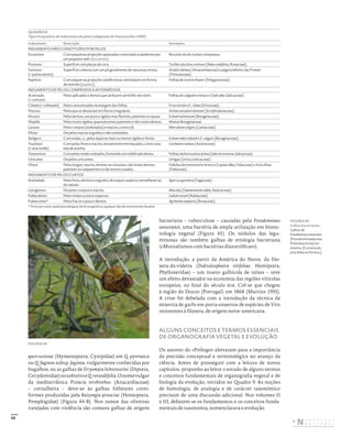 59
quercustozae (Hymenoptera, Cynipidae) em Q. pyrenaica
ou Q. faginea subsp. faginea, vulgarmente conhecidas por
bugalhos, ou as galhas de Dryomyia lichtensteini (Diptera,
Cecydomidae)nosobreiroeQ.rotundifolia.Onomevulgar
da mediterrânica Pistacia terebinthus (Anacardiaceae)
– cornalheira – deve-se às galhas folheares corni-
formes produzidas pela Baizongia pistaciae (Homoptera,
Pemphigidae) (Figura 44-B). Nos ramos das oliveiras
varejadas com violência são comuns galhas de origem
bacteriana – tuberculose – causadas pela Pseudomonas
savastanoi, uma bactéria de ampla utilização em biotec-
nologia vegetal (Figura 45). Os nódulos das legu-
minosas são também galhas de etiologia bacteriana
(«Mutualismos com bactérias diazotróficas»).
A introdução, a partir da América do Norte, da filo-
xera-da-videira (Daktulosphaira vitifoliae, Hemiptera,
Phylloxeridae) – um inseto galhícola de raízes – teve
um efeito devastador na economia das regiões vitícolas
europeias, no final do século xix. Crê-se que chegou
à região do Douro (Portugal) em 1868 (Martins 1991).
A crise foi debelada com a introdução da técnica da
enxertia de garfo em porta-enxertos de espécies de Vitis
resistentes à filoxera, de origem norte-americana.
ALGUNS CONCEITOS E TERMOS ESSENCIAIS
DE ORGANOGRAFIA VEGETAL E EVOLUÇÃO
Os autores do «Prólogo» alertaram para a importância
da precisão conceptual e terminológica no avanço da
ciência. Antes de prosseguir com a leitura de novos
capítulos, proponho ao leitor o estudo de alguns termos
e conceitos fundamentais de organografia vegetal e de
biologia da evolução, vertidos no Quadro 9. As noções
de homologia, de analogia e de carácter taxonómico
precisam de uma discussão adicional. Nos volumes II
e III, debatem-se os fundamentos e os conceitos funda-
mentais de taxonomia, nomenclatura e evolução.
FIGURA 45
Galhas bacterianas.
Galhas de
Pseudomonas savastanoi
(Pseudomonadaceae,
Proteobacteria) em
oliveira. [Cortesia de
José Alberto Pereira.]
QUADRO 8
Tipos frequentes de indumento de pelos (adaptado de Vasconcellos 1969)
Indumento Descrição Exemplos
INDUMENTO NÃO CONSTITUÍDO POR PELOS
Escamoso Com pequenas projeções aplanadas conectadas à epiderme por
um pequeno «pé» (escamas).
Recetáculo de muitas compostas.
Pruinoso Superfície com placas de cera. Turiões da silva‑comum (Rubus ulmifolius, Rosaceae).
Farinoso
(= pulverulento)
Superfície coberta com um pó geralmente de natureza cerosa. Atriplex halimus (Amaranthaceae) e página inferior das Primula
(Primulaceae).
Papiloso Com pequenas projeções epidérmicas unicelulares em forma
de mamilo (papilas).
Folhas de muitos Rumex (Polygonaceae).
INDUMENTO DE PELOS COMPRIDOS A INTERMÉDIOS
Acetinado
(= ceríceo)
Pelos aplicados e densos que atribuem um brilho de cetim. Folhas do salgueiro‑branco (Salix alba, Salicaceae).
Ciliado(=celheado) Pelos concentrados na margem das folhas. Erica tetralix e E. ciliata (Ericaceae).
Flocoso Pelos que se destacam em flocos irregulares. Verbascum pulverulentum (Scrophulariaceae).
Hirsuto Pelos densos, um pouco rígidos mas flexíveis, patentes ou quase. Echium lusitanicum (Boraginaceae).
Híspido Pelos muito rígidos, quase picantes, patentes e não muito densos. Muitas Boraginaceae.
Lanoso Pelos crespos (ondulados) e macios, como a lã. Marrubium vulgare (Lamiaceae).
Piloso De pelos macios erguidos e não ondulados.
Setígero Com sedas, i.e., pelos ásperos mais ou menos rígidos e fortes. Echium tuberculatum e E. vulgare (Boraginaceae).
Tearâneo
(= aracnoide)
Com pelos finos e macios, tenuemente entrelaçados, como uma
teia de aranha.
Carthamus lanatus (Asteraceae).
Tomentoso Com pelos moles enleados, formando um enfeltrado denso. Folhas da borrazeira‑preta (Salix atrocinerea, Salicaceae).
Urticante De pelos urticantes. Urtigas (Urtica, Urticaceae).
Viloso Pelos longos, macios, direitos ou sinuosos, não muito densos,
patentes ou subpatentes e não entrecruzados.
Folíolos do tremoceiro‑branco (Lupinus albus, Fabaceae) e Vicia villosa
(Fabaceae).
INDUMENTO DE PELOS CURTOS
Aveludado Pelos finos, densos e erguidos, de toque e aspecto semelhante ao
do veludo.
Quercus pyrenaica (Fagaceae).
Lanuginoso De pelos crespos e macios. Macela (Chamaemelum nobile, Asteraceae).
Puberulento Pelos muito curtos e esparsos. Galium verum (Rubiaceae).
Pubescente* Pelos fracos e pouco densos. Agrimonia eupatoria (Rosaceae).
* Termo por vezes usado para designar, de forma genérica, qualquer tipo de revestimento de pelos.
FIGURA 45
DISTRIBUIÇÃO GRATUITA. NÃO É PERMITIDA A COMERCIALIZAÇÃO.
©
 