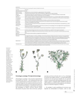 60
I.
A
NATUREZA
E
A
ESTRUTURA
DAS
PLANTAS
Homologia e analogia. Princípio da homologia
A homologia e a analogia – dois conceitos originalmente
formulados por Darwin – são fundamentais para uma
correta interpretação da forma das plantas e na cons-
trução de filogenias e dos modernos sistemas de classifi-
cação das plantas (volume II). «Em diferentes plantas as
partes da flor são homólogas, e geralmente estas partes
são homólogas às folhas», escreveu Darwin (1859).
Precisando um pouco mais, duas estruturas, qualquer
quesejaasuaformaoufunção,sãohomólogas(homologs)
se tiverem uma origem comum, i.e., se forem elaborações
evolutivas de uma estrutura herdada de um ancestral
comum. As peças da flor são homólogas porque têm uma
origem comum: o megafilo (folha verdadeira) adquirido
peloeufilófito ancestraldetodas as plantascom semente,
algures, no Devónico Superior (~370 M.a.).
«... (A analogia é uma) semelhança de estrutura que
depende da similaridade de funções, como as asas
FIGURA 46
Homologia
e analogia.
A) Carlina vulgaris
(Asteraceae).
B) Daucus carota
(Apiaceae).
C) Eryngium campestre
(Apiaceae).
O E. campestre é mais
parecido com
a C. vulgaris, mas
filogeneticamente
mais próximo de
D. carota (pertencem
à mesma família).
A semelhança
entre C. vulgaris e
E. campestre resulta
de convergência
evolutiva: o hábito
espinhoso é, neste
caso, uma analogia.
As inflorescências
da D. carota e do
E. campestre são
homólogas: ambas
as espécies possuem
a umbela composta
característica
da família das
umbelíferas, herdada
de um ancestral
comum. [Gravuras
de Bonnier & Douin
1911‑1935.]
QUADRO 9
Glossário de termos fundamentais de organografia vegetal e biologia da evolução
Conceito Definição
ORGANOGRAFIA VEGETAL
Abaxial (= dorsal) Afastado do eixo; o inverso de adaxial; e.g., página abaxial (= inferior) da folha.
Adaxial (= ventral) Ao lado do eixo, de frente para o caule; o inverso de abaxial; e.g., página adaxial (= superior) da folha.
Adnação
(= aderência)
Partes distintas unidas entre si, desenvolvendo‑se e crescendo em conjunto; e.g., no clado das asterídeas, os estames estão
frequentemente adnados ao tubo da corola dizendo‑se, por isso, epipétalos.
Adventício Adjetivo usado para coadjuvar a designação de órgãos situados em posições atípicas; e.g., as raízes de origem caulinar são adventícias.
Concrescência
(= coerência)
Partes semelhantes unidas entre si, desenvolvendo‑se e crescendo em conjunto; e.g., as pétalas são concrescentes em muitas espécies,
formando um tubo, dizendo‑se a corola simpétala.
Conivência Partes, embora não concrescentes, indistintas de tão encostadas; e.g., anteras no androceu das solanáceas.
Crescimento
determinado
Tipo de crescimento, geralmente rápido, automaticamente interrompido assim que uma estrutura geneticamente determinada é
concluída; e.g., braquiblastos, flores e folhas.
Crescimento
indeterminado
Tipo de crescimento eventualmente ilimitado, cuja suspensão ou interrupção não se deve, primariamente, a causas genéticas; e.g., raízes
e a maioria dos caules.
Deiscência Processo ou mecanismo natural mediante o qual um fruto, uma antera ou um esporângio, entre outros órgãos, abrem espontaneamente
e libertam para o exterior o respetivo conteúdo.
Distal
(= posterior)
O inverso de proximal; e.g., o ápice da folha corresponde à parte distal da folha e o estigma tem uma posição distal no pistilo.
Livre Vocábulo usado para designar partes não concrescentes, nem aderentes; e.g., carpelos livres de um gineceu apocárpico.
Proximal
(= anterior)
Diz‑se da parte de um órgão que está mais próxima do eixo ou do ponto onde se insere; e.g., o pecíolo corresponde à parte proximal da
folha.
Segmento Partes em que um todo se divide; e.g., segmento de uma folha secta.
BIOLOGIA DA EVOLUÇÃO
Adaptação Dois significados distintos: i) carácter morfológico ou funcional, produzido por seleção natural, que incrementa o sucesso reprodutivo
dos indivíduos portadores no seu ambiente natural; ii) processo de evolução por seleção natural. Por conseguinte, um indivíduo diz‑se
adaptado quando a sua forma, fisiologia e/ou comportamento (nos animais) lhe conferem uma elevada probabilidade de sobrevivência
e de sucesso reprodutivo em condições naturais. É importante ter presente que as adaptações não são necessariamente perfeitas,
apenas têm de funcionar o suficiente para permitir a sobrevivência e a reprodução (Niklas 2016).
Metamorfose Conjunto das modificações morfológicas ocorridas numa planta no decurso da sua história evolutiva, à escala do corpo (e.g., corpo das
plantas aquáticas flutuantes do género Lemna [Araceae]) ou do órgão (e.g., folhas de proteção dos gomos). Tendencialmente, associa‑se
o termo metamorfose a modificações evolutivas profundas, muito divergentes da forma original do órgão que lhe deu origem.
Trade-off evolutivo Ocorre um trade-off evolutivo quando a evolução de uma característica se faz à custa do desenvolvimento de outra(s). E.g., a evolução
de folhas grandes é acompanhada pela diminuição do número total de folhas.
A B C
DISTRIBUIÇÃO GRATUITA. NÃO É PERMITIDA A COMERCIALIZAÇÃO.
©
 