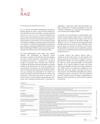 62
I.
A
NATUREZA
E
A
ESTRUTURA
DAS
PLANTAS
3.
RAIZ
NATUREZA E FUNÇÕES DA RAIZ
A raiz é um dos três órgãos fundamentais das plantas.
Evoluiu depois do caule e antes da folha (volume II).
Ao contrário dos caules e das folhas, o sistema radicular
tem um geotropismo positivo (cresce afundando-se no
solo) e, salvo raras exceções, permanece oculto no solo
durante todo o ciclo de vida das plantas. Além do geotro-
pismo positivo, caracterizam a raiz uma simetria radial,
a ramificação endógena, a presença de pelos radiculares
e de caliptra, e a ausência de adaptações à fotossíntese
(e.g., estomas e cloroplastos) (Kenrick & Strullu-Derrien
2014,Groff&Kaplan1988).Asraízesnãotêmnósporque
não têm meristemas axilares nem suportam folhas.
As raízes desempenham pelo menos onze funções
(Quadro 10), combinadas de diferentes formas
consoante as espécies e distribuídas de forma desigual
por todo o sistema radicular. A ancoragem ao solo, a
acumulação de reservas, e a absorção e o transporte
de água e nutrientes são as funções mais evidentes.
A robustez da fixação ao substrato depende, em grande
medida, da biomassa aérea e da altura da canópia, das
características do substrato (e.g., profundidade útil do
solo e ocorrência de impermes) e das condições ambien-
tais (e.g., presença de competidores). As raízes (e os
caules) acumulam e libertam hidratos de carbono não
estruturais – funcionam como source ou como sink – de
modo a manter o corpo da planta adequadamente abas-
tecido com a energia necessária para o crescimento e
reprodução, e para gerir eventos de perturbação (e.g.,
fogo e herbivoria) e variações, periódicas ou não, das
condições ambientais (e.g., ciclo anual das estações ou
secas extremas) (vd. Pregitzer 2008).
A absorção está concentrada nas extremidades radi-
culares. Genericamente, apenas 10% do comprimento
total do sistema radicular absorve água, e não mais de
30% participa na captura de nutrientes (Hodge et al.
2009). A rizosfera é o volume de solo influenciado pela
atividade radicular. As raízes de maior diâmetro trans-
portam água e nutrientes em direção à parte aérea,
fotoassimilados no sentido inverso, prendem as plantas
ao substrato e, nas plantas perenes, têm uma importante
função de reserva.
A grande maioria das plantas absorve água e
nutrientes do solo pelas raízes, mas há exceções. Nas
plantas parasitas, os nutrientes e a água são total ou
parcialmente obtidos nos seus hospedeiros pela ação
de raízes ou caules metamorfoseados em haustórios
(Quadro 12). As plantas epífitas extraem com raízes
aéreas especializadas nutrientes de resíduos orgânicos
(e.g., folhas mortas), de partículas inorgânicas arras-
tadas pelo vento (e.g., argilas), e da água da chuva ou
dos nevoeiros. Nas bromélias (Bromeliaceae) epífitas,
a absorção de água e nutrientes é feita por pequenas
escamas situadas na base das folhas, mergulhadas na
água que enche as bainhas; as raízes aderem as plantas
ao substrato.
QUADRO 10
Funções da raiz (fontes diversas)
Função Descrição
Absorção de água e nutrientes Função primordial da raiz. Dos 27 elementos essenciais que constituem o corpo das plantas‑terrestres apenas o carbono e
o oxigénio não são totalmente, ou em grande parte, extraídos do solo pela raiz.
Ancoragem O substrato mais comum é o solo. Em muitas trepadeiras, as raízes aéreas desempenham a mesma função noutros
substratos (e.g., superfícies rochosas e/ou outras plantas).
Assimilação Função rara na natureza. E.g., as raízes aéreas de várias orquídeas são verdes e fazem fotossíntese; Trapa natans (Figura 48).
Colonização de novos espaços Através de raízes, geralmente plagiotrópicas, com capacidade de emitir pôlas ou rebentos.
Exclusão de substâncias tóxicas Assim como absorve eficientemente nutrientes do solo, a raiz impede a entrada no corpo das plantas de substâncias
tóxicas (e.g., cloreto de sódio em solos salinos).
Leitura e integração de sinais ambientais Todos os órgãos vegetativos são sensíveis a sinais ambientais.
Interação com microrganismos As raízes interagem abundantemente como microrganismos na rizosfera, alguns dos quais estabelecem relações
simbióticas; e.g., bactérias diazotróficas.
Persistência E.g., persistência em habitats ciclicamente perturbados ou com uma estação desfavorável prolongada.
Proteção contra a herbivoria E.g., folhas metamorfoseadas em espinhos.
Reserva Função evidente nas raízes tuberosas. Os tecidos parenquimatosos das raízes com crescimento secundário têm um papel
particularmente importante na acumulação de reservas.
Síntese de reguladores de crescimento Sobretudo de citoquininas.
Transporte O transporte de água e nutrientes até ao caule e a redistribuição dos produtos da fotossíntese provenientes da parte aérea
são desempenhados pelas partes mais velhas do sistema radicular.
Trocas gasosas Direta ou indiretamente, todas as células vegetais efetuam trocas gasosas com a atmosfera ou com a atmosfera do solo.
Algumas espécies possuem raízes especializadas nessa função (pneumatóforos).
DISTRIBUIÇÃO GRATUITA. NÃO É PERMITIDA A COMERCIALIZAÇÃO.
©
 