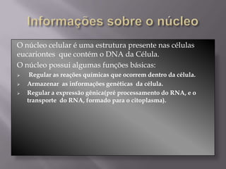 O núcleo celular é uma estrutura presente nas células
eucariontes que contém o DNA da Célula.
O núcleo possui algumas funções básicas:
    Regular as reações químicas que ocorrem dentro da célula.
   Armazenar as informações genéticas da célula.
   Regular a expressão gênica(pré processamento do RNA, e o
    transporte do RNA, formado para o citoplasma).
 