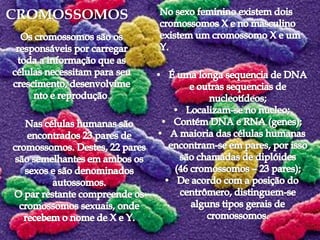 CROMOSSOMOS




         .
 