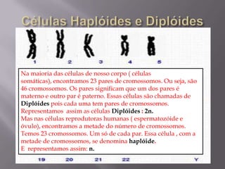 Na maioria das células de nosso corpo ( células
somáticas), encontramos 23 pares de cromossomos. Ou seja, são
46 cromossomos. Os pares significam que um dos pares é
materno e outro par é paterno. Essas células são chamadas de
Diplóides pois cada uma tem pares de cromossomos.
Representamos assim as células Diplóides : 2n.
Mas nas células reprodutoras humanas ( espermatozóide e
óvulo), encontramos a metade do número de cromossomos.
Temos 23 cromossomos. Um só de cada par. Essa célula , com a
metade de cromossomos, se denomina haplóide.
E representamos assim: n.
 