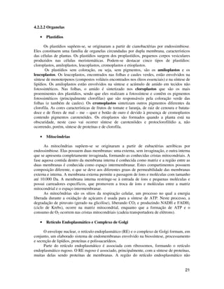 21 
4.2.2.2 Organelas 
• Plastídios 
Os plastídios supõem-se, se originaram a partir de cianobactérias por endossimbiose. 
Eles constituem uma família de organelas circundadas por dupla membrana, característicos 
das células de plantas. Os plastídios surgem dos proplastídios, pequenos corpos vesiculares 
produzidos nas células meristemáticas. Podem-se destacar cinco tipos de plastídios: 
cloroplastos, amiloplastos, leucoplastos, cromoplastos e etioplastos. 
Os plastídios sem coloração, ou seja, sem pigmentos, são os amiloplastos e os 
leucoplastos. Os leucoplastos, encontrados nas folhas e caules verdes, estão envolvidos na 
síntese de monoterpenos (compostos voláteis encontrados nos óleos essenciais) e na síntese de 
lipídios. Os amiloplastos estão envolvidos na síntese e acúmulo de amido em tecidos não 
fotossintéticos. Nas folhas, o amido é sintetizado nos cloroplastos que são os mais 
proeminentes dos plastídios, sendo que eles realizam a fotossíntese e contêm os pigmentos 
fotossintéticos (principalmente clorofilas) que são responsáveis pela coloração verde das 
folhas (e também de caules). Os cromoplastos sintetizam outros pigmentos diferentes da 
clorofila. As cores características de frutos de tomate e laranja, de raiz de cenoura e batata-doce 
e de flores de mal – me – quer e botão de ouro é devido à presença de cromoplastos 
contendo pigmentos carotenóides. Os etioplastos são formados quando a planta está na 
obscuridade, neste caso vai ocorrer síntese de carotenóides e protoclorofilídio a, não 
ocorrendo, porém, síntese de proteínas e de clorofila. 
• Mitocôndrias 
As mitocôndrias supõem-se se originaram a partir de eubactérias aeróbicas por 
endossimbiose. Elas possuem duas membranas: uma externa, sem invaginação, e outra interna 
que se apresenta completamente invaginada, formando as conhecidas cristas mitocondriais. A 
fase aquosa contida dentro da membrana interna é conhecida como matriz e a região entre as 
duas membranas é conhecida como espaço intermembranar. Estes compartimentos possuem 
composição diferente, o que se deve aos diferentes graus de permeabilidade das membranas 
externa e interna. A membrana externa permite a passagem de íons e moléculas com tamanho 
até 10.000 Da. A membrana interna restringe-se à entrada de íons e pequenas moléculas e 
possui carreadores específicos, que promovem a troca de íons e moléculas entre a matriz 
mitocondrial e o espaço intermembranar. 
As mitocôndrias são os sítios da respiração celular, um processo no qual a energia 
liberada durante a oxidação de açúcares é usada para a síntese de ATP. Neste processo, a 
degradação de piruvato (gerado na glicólise), liberando CO2 e produzindo NADH e FADH2 
(ciclo de Krebs), ocorre na matriz mitocondrial, enquanto que a formação de ATP e o 
consumo de O2 ocorrem nas cristas mitocondriais (cadeia transportadora de elétrons). 
• Retículo Endoplasmático e Complexo de Golgi 
O envelope nuclear, o retículo endoplasmático (RE) e o complexo de Golgi formam, em 
conjunto, um elaborado sistema de endomembranas envolvido na biossíntese, processamento 
e secreção de lipídios, proteínas e polissacarídeos. 
Parte do retículo endoplasmático é associada com ribossomos, formando o retículo 
endoplasmático rugoso. O RE rugoso é associado, principalmente, com a síntese de proteínas, 
muitas delas sendo proteínas de membranas. A região do retículo endosplasmático não 
 