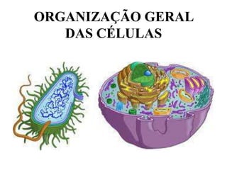 ORGANIZAÇÃO GERAL
DAS CÉLULAS
 