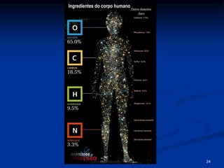 Ciências Naturais - ICRM 24
 