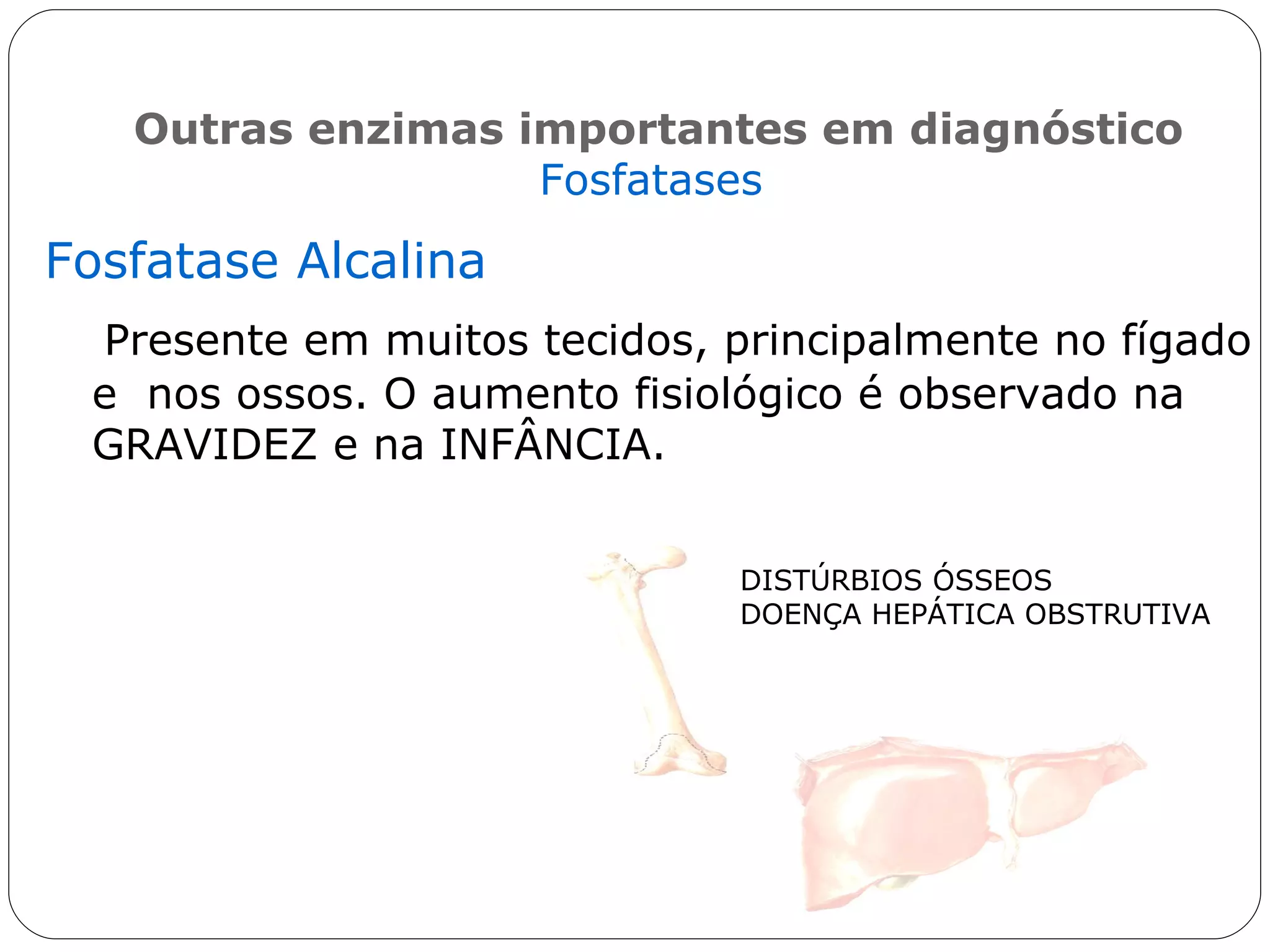 Estrutura das enzimas | PPT