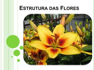 ESTRUTURA DAS FLORES
 
