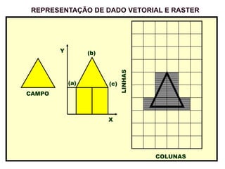 LINHAS
COLUNAS
CAMPO
(b)
(a) (c)
Y
X
REPRESENTAÇÃO DE DADO VETORIAL E RASTER
 