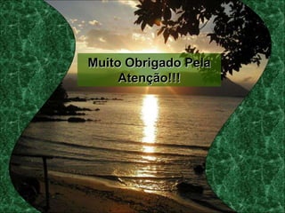 Muito Obrigado Pela
Atenção!!!
 