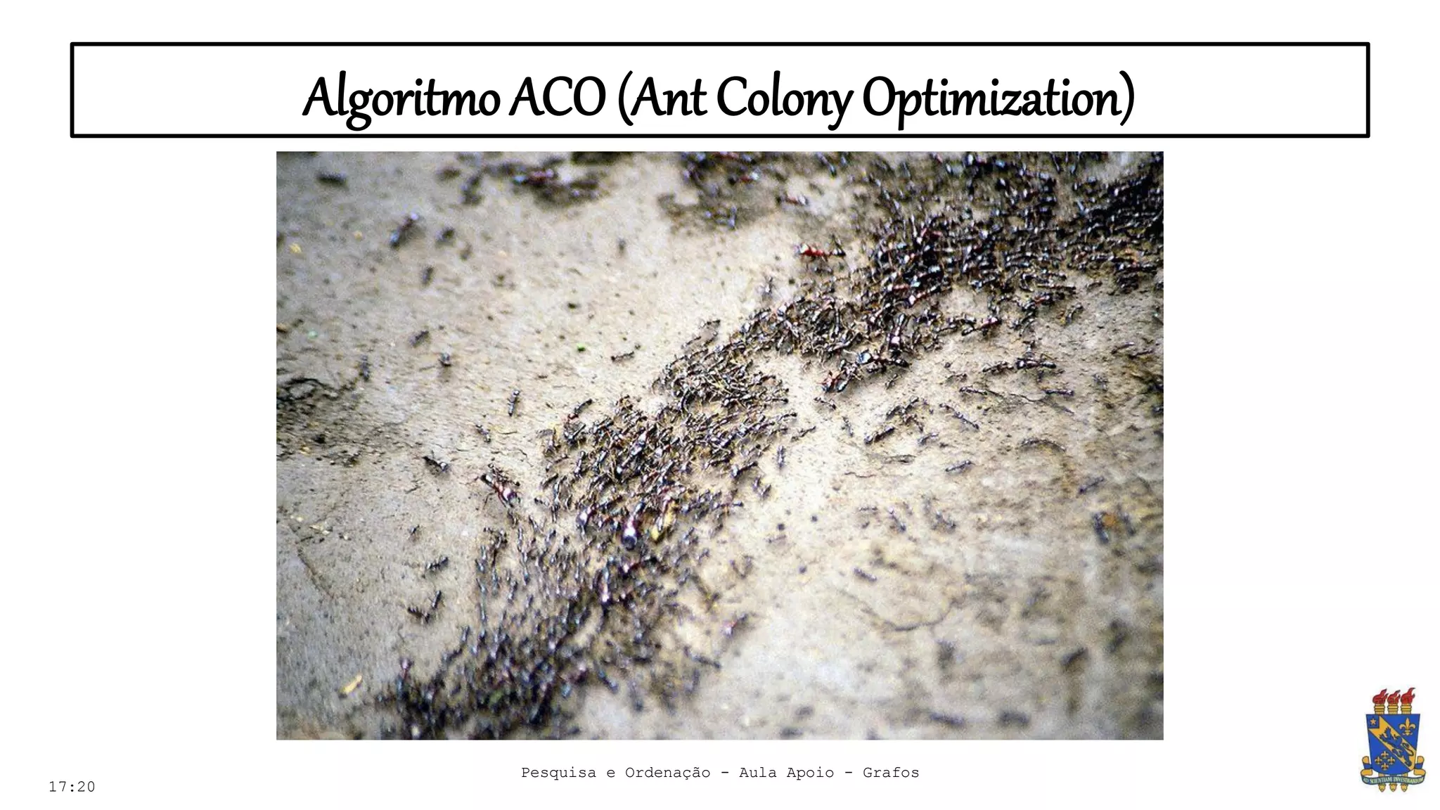 AlgoritmoACO (Ant Colony Optimization)
17:20
Pesquisa e Ordenação - Aula Apoio - Grafos
 