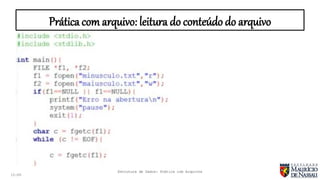 entendendo o arquivo Images High Quality Grahic Estrutura de Dados Aula revisão (Trabalhando com Arquivos) | PPTX