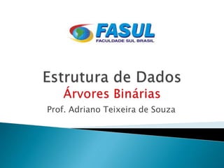 Prof. Adriano Teixeira de Souza
 