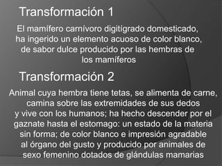 Transformación 1
El mamífero carnívoro digitígrado domesticado,
ha ingerido un elemento acuoso de color blanco,
de sabor dulce producido por las hembras de
los mamíferos
Transformación 2
Animal cuya hembra tiene tetas, se alimenta de carne,
camina sobre las extremidades de sus dedos
y vive con los humanos; ha hecho descender por el
gaznate hasta el estomago: un estado de la materia
sin forma; de color blanco e impresión agradable
al órgano del gusto y producido por animales de
sexo femenino dotados de glándulas mamarias
 