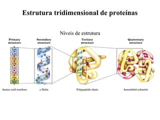 Estrutura tridimensional de proteínas
Níveis de estrutura
 
