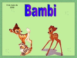 Bambi 6 de maio de 2009 