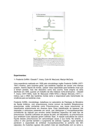 Experimentos:

1- Frederick Griffith / Oswald T. Avery, Colin M. MacLeod, Maclyn McCarty

Uma experiência realizada em 1928 pelo microbiólogo inglês Frederick Griffith (1877-
1941) mostrou, para surpresa geral, que bactérias capazes de causar uma doença
podiam, mesmo depois de mortas, „passar‟ essa capacidade para bactérias vivas que
a tinham perdido, mas não descobriu como isso ocorria. Esse enigma só seria
decifrado em 1944, quando um trabalho de três médicos norte-americanos – Oswald
T. Avery (1877-1955), Colin M. MacLeod (1909-1972) e Maclyn McCarty (1911-) –
indicou que o DNA das bactérias mortas seria o responsável pela transmissão da
virulência para as bactérias vivas.

Frederick Griffith, microbiólogo, trabalhava no Laboratório de Patologia do Ministério
da Saúde britânico, com pneumococos (nome comum da bactéria Streptococcus
pneumoniae, então conhecida como Pneumococcus, que causa pneumonia), já
classificados anteriormente em diversos tipos. Essa classificação se baseava nas
respostas a anticorpos presentes em soros, que distinguiam o mucopolissacarídeo
(constituinte da cápsula que envolve certas bactérias) específico de cada tipo de
pneumococo. Quando cultivados em placas de petri, em laboratório, os pneumococos
que sintetizam suas cápsulas geram colônias „lisas‟. A injeção subcutânea de cultura
líquida desses pneumococos em camundongos causa a sua morte. No entanto, o
cultivo in vitro permite também o surgimento de colônias „rugosas‟, cujas bactérias
perderam a capacidade de sintetizar mucopolissacarídeo (e portanto não têm
cápsulas). As mutantes rugosas não podiam mais ser classificadas com os soros e,
 